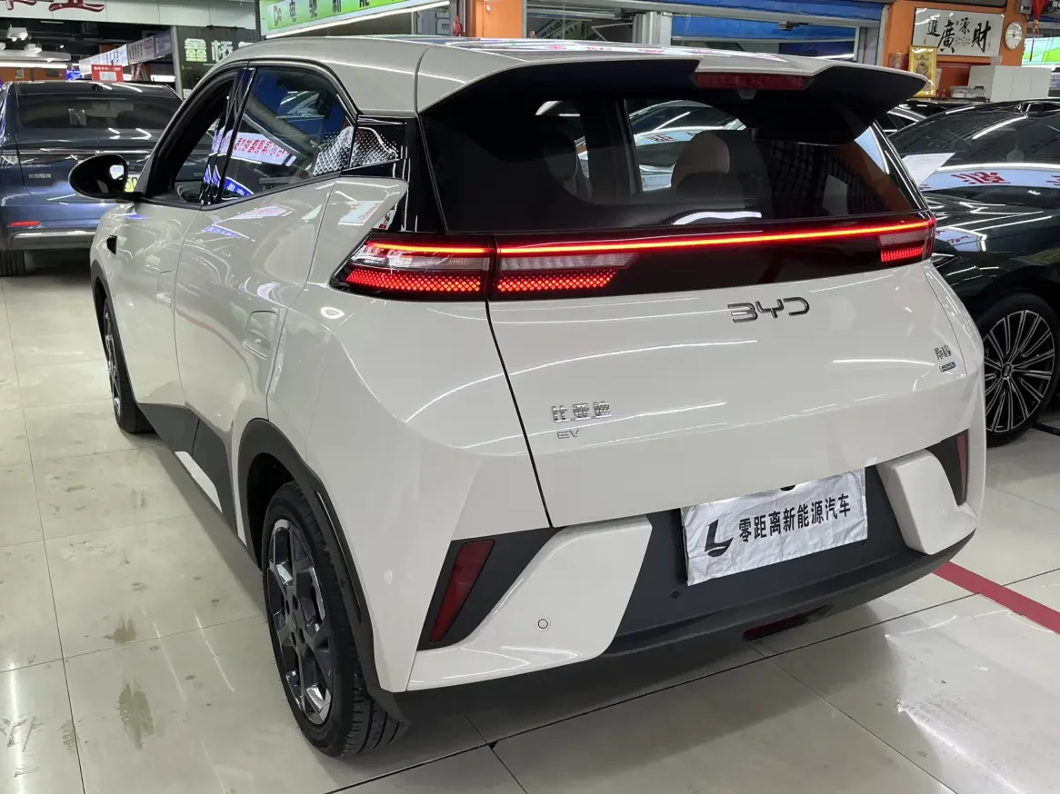 BYD seagull