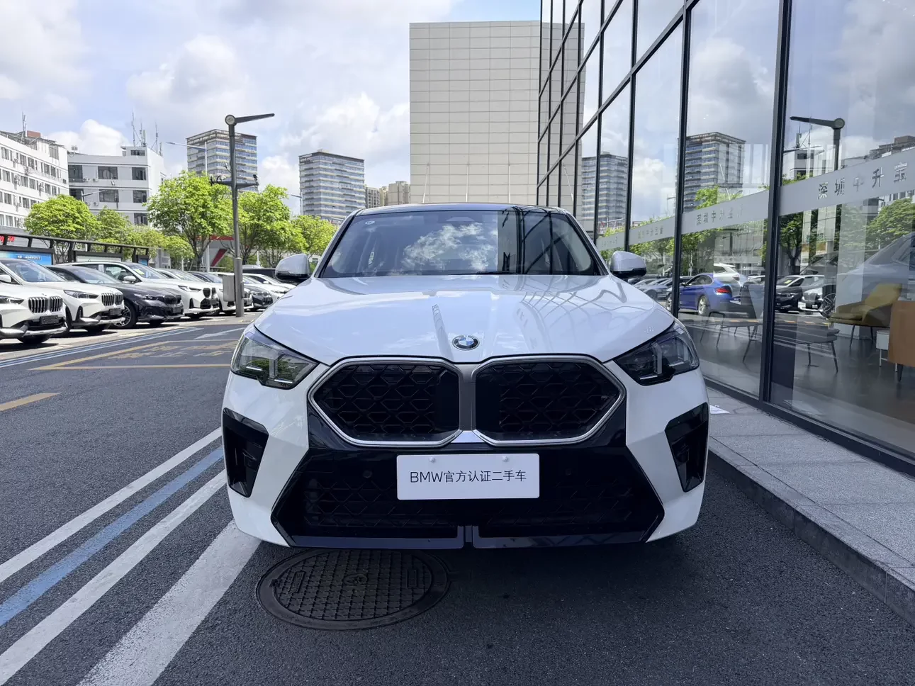 BMW X2