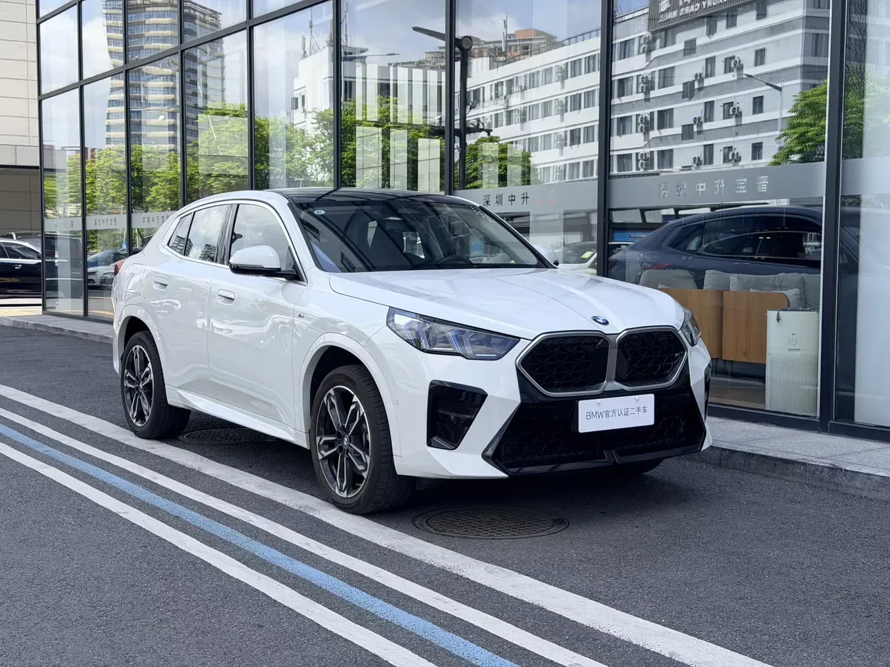 BMW X2