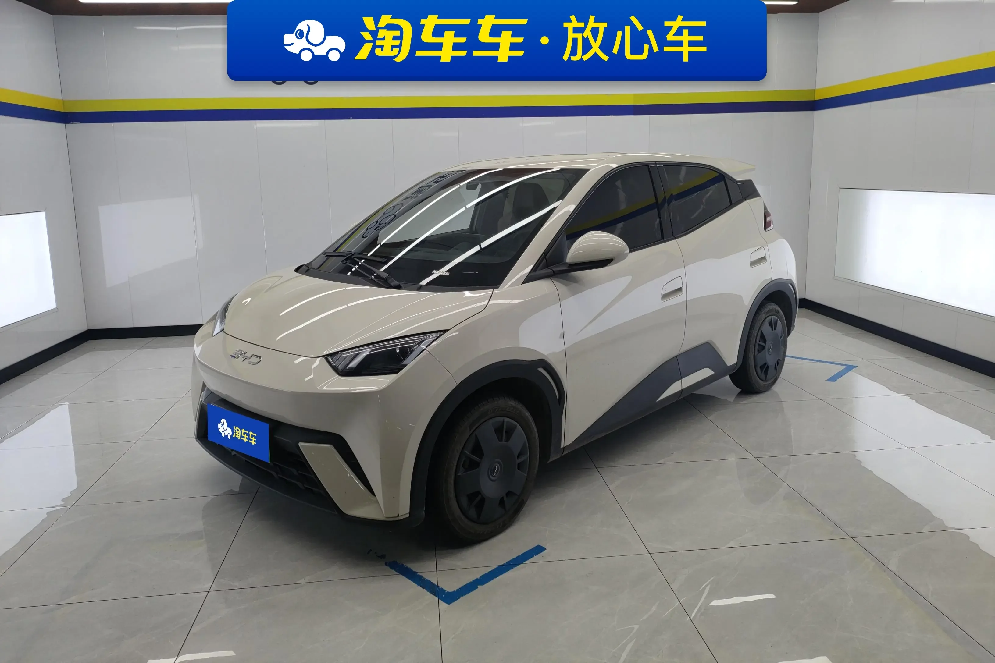 BYD seagull