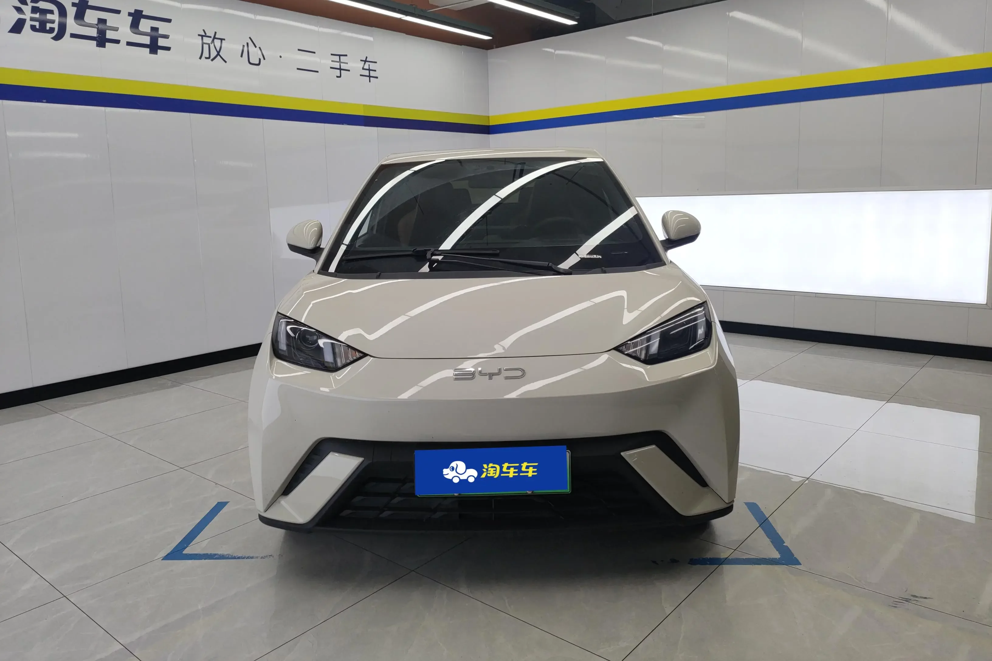 BYD seagull