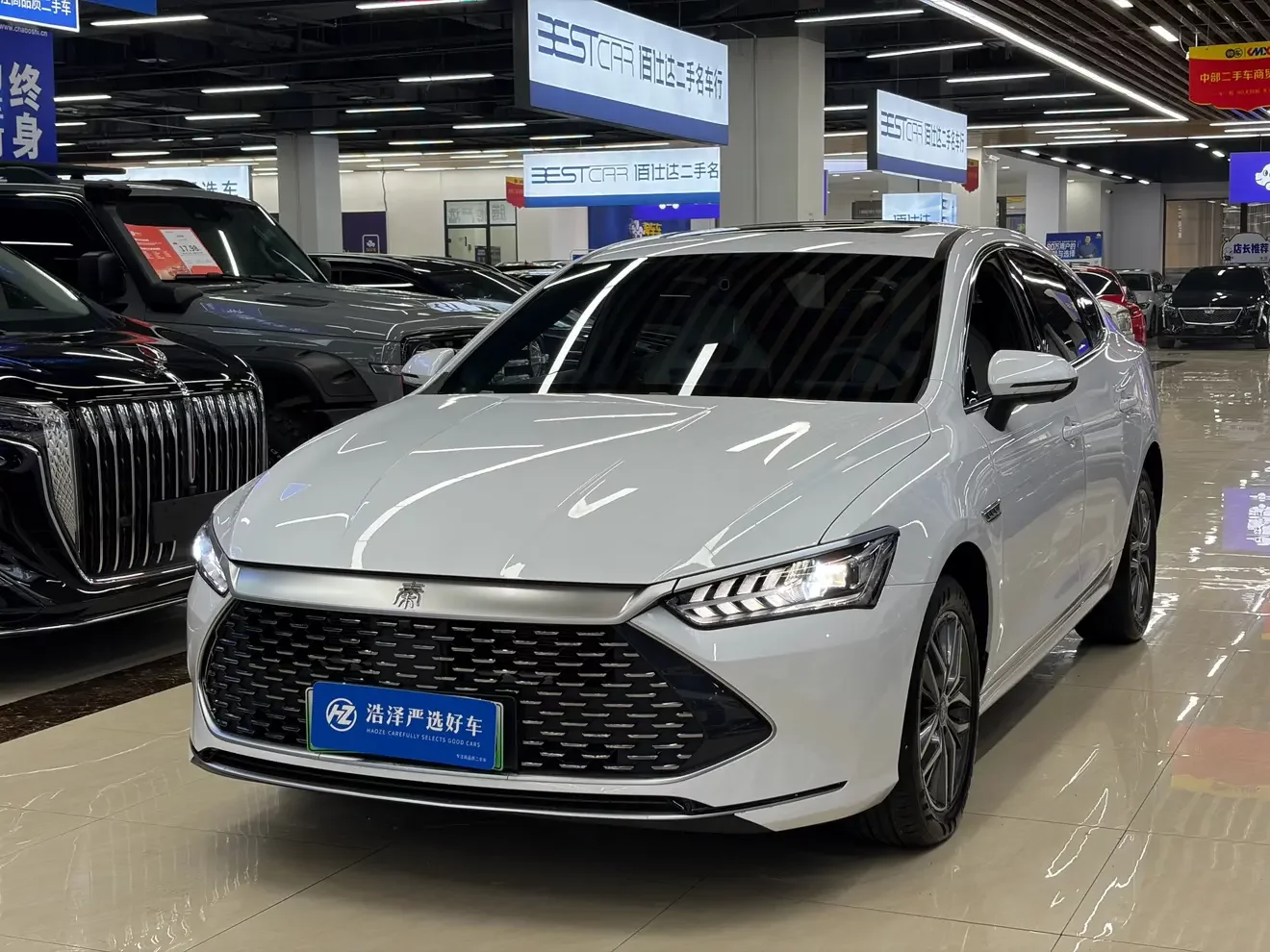 BYD Qin PLUS DM