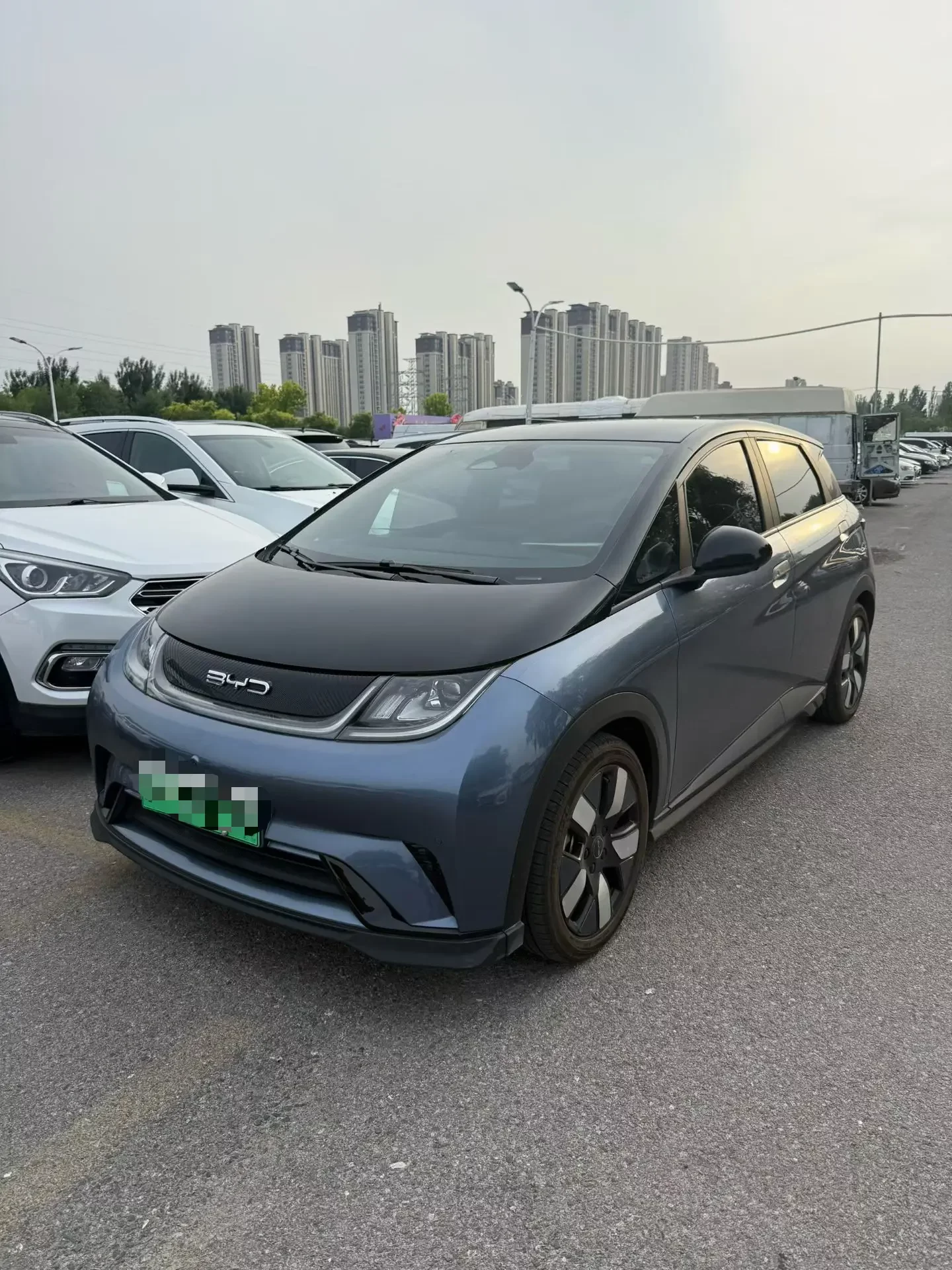 BYD dolphin