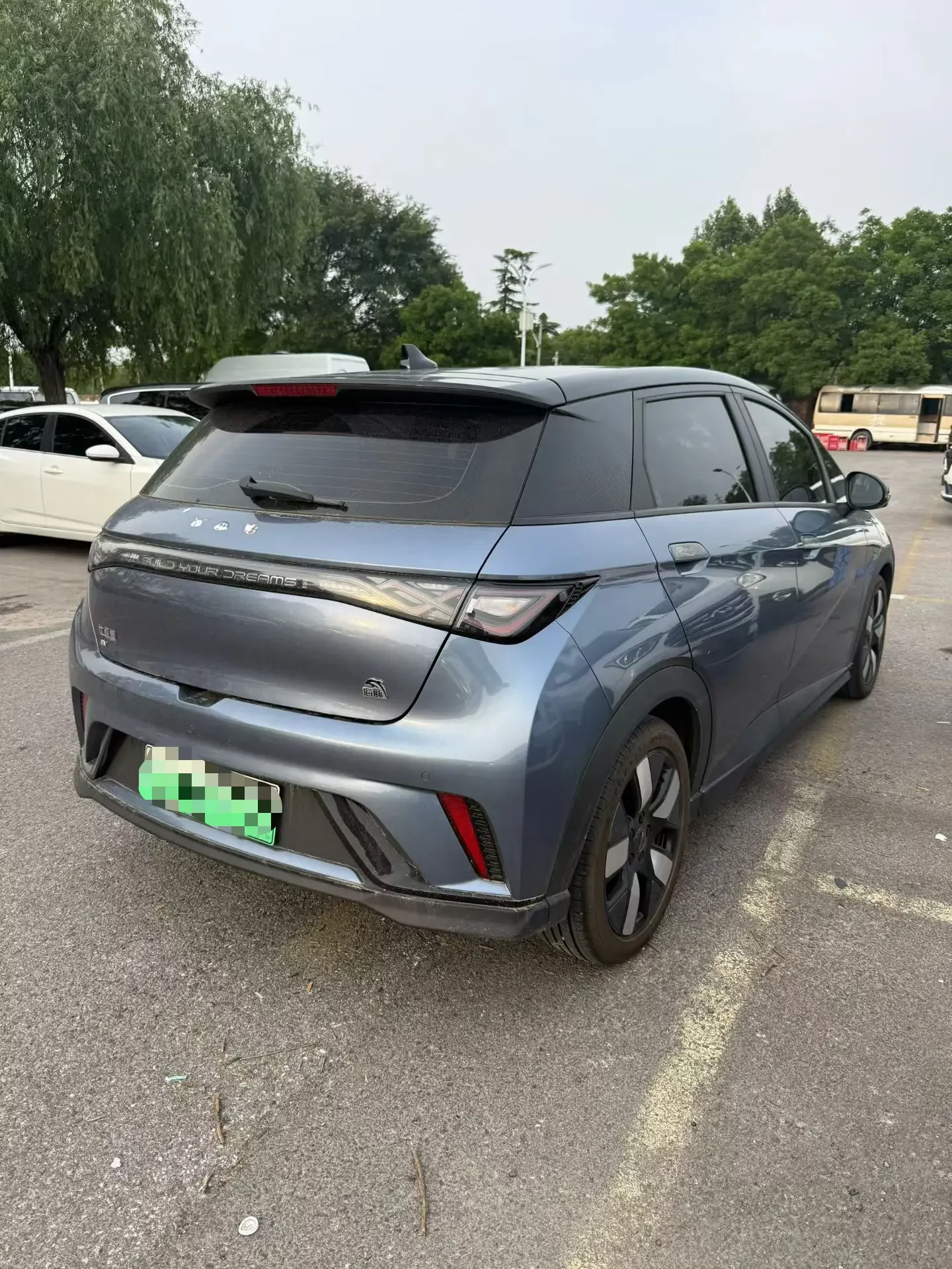 BYD dolphin