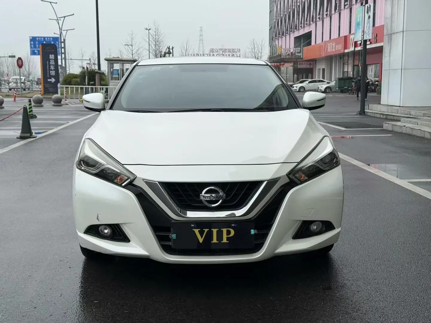 Nissan bluebird