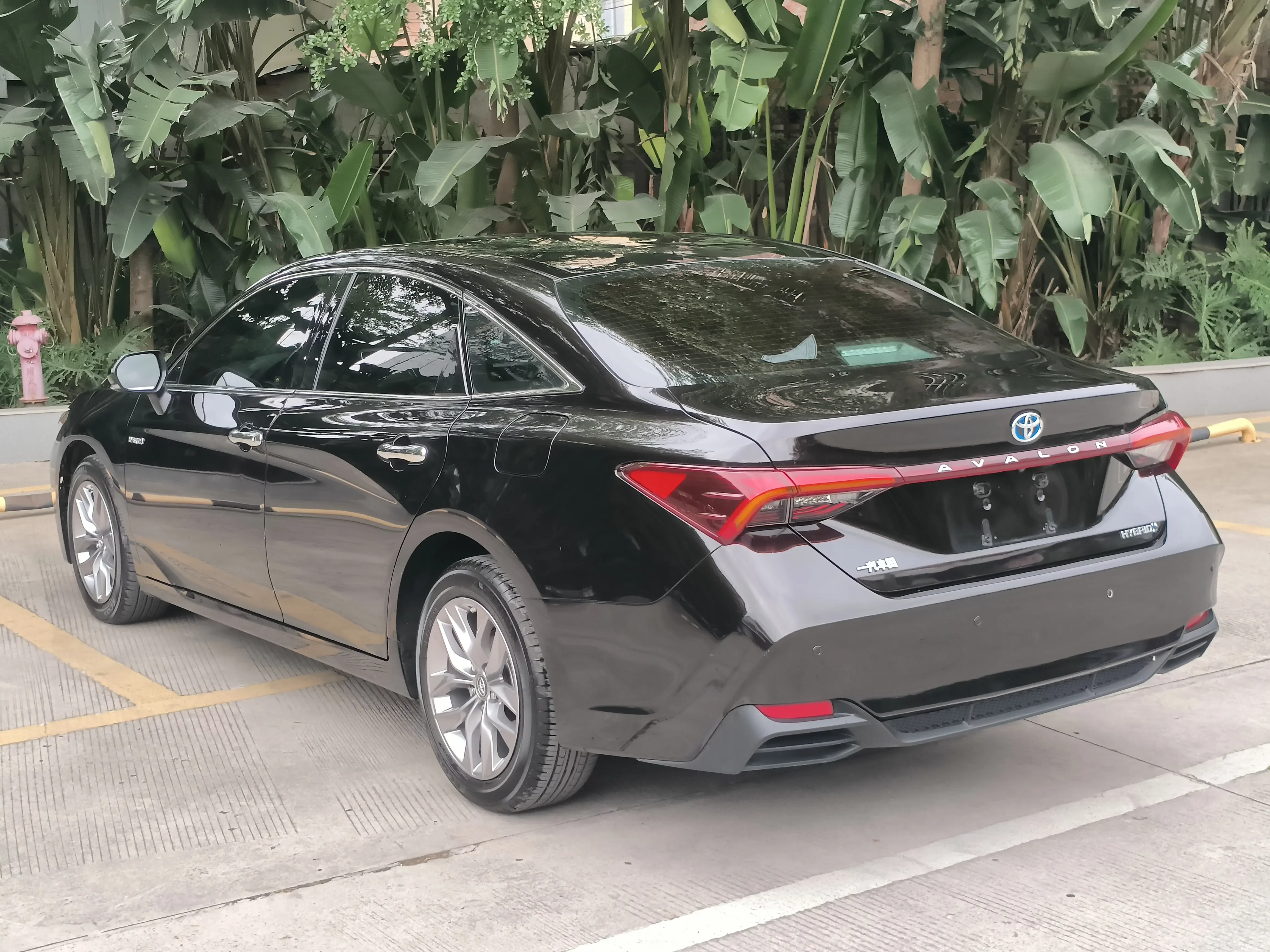 Toyota Avalon