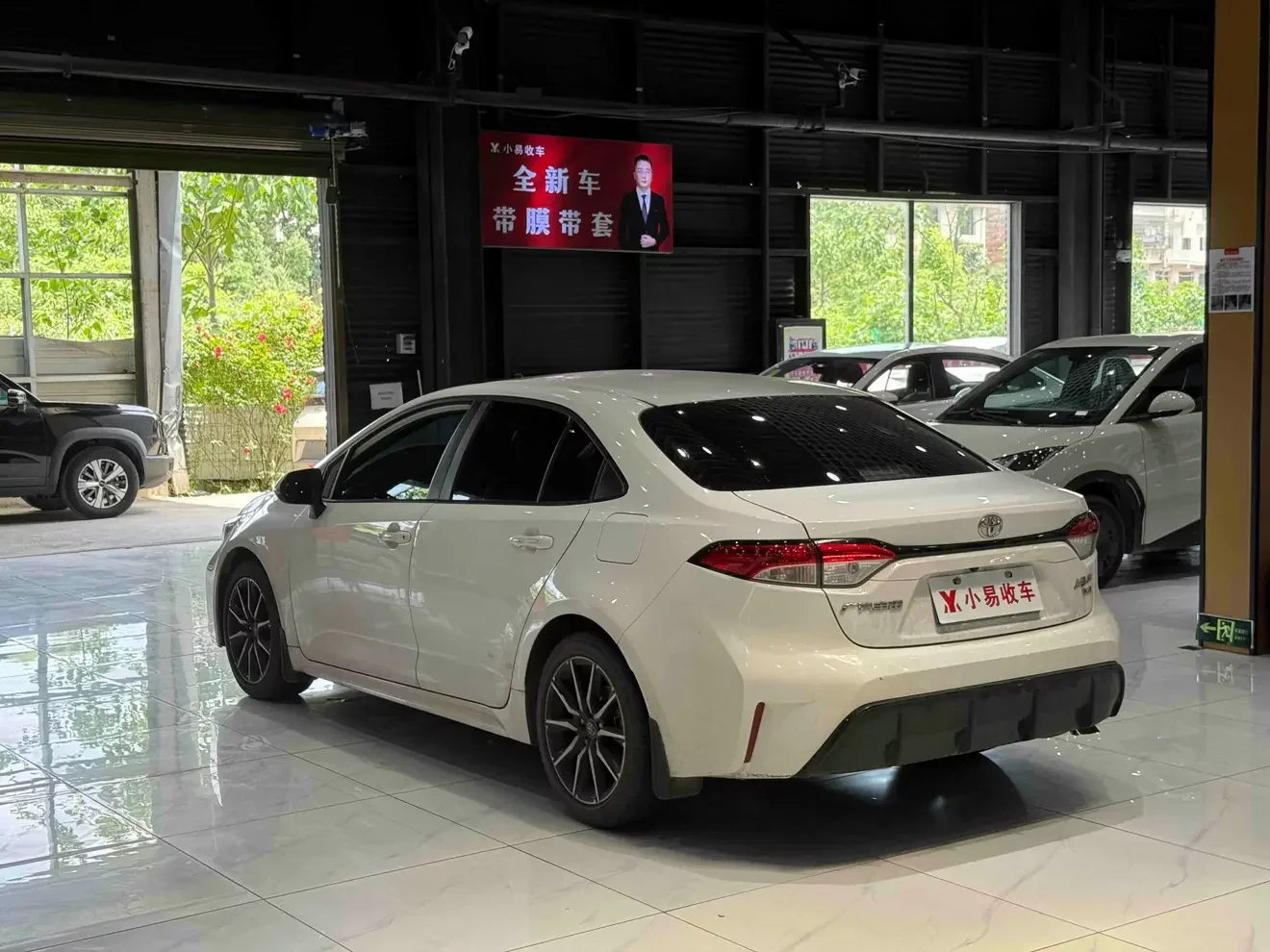 Toyota Levin