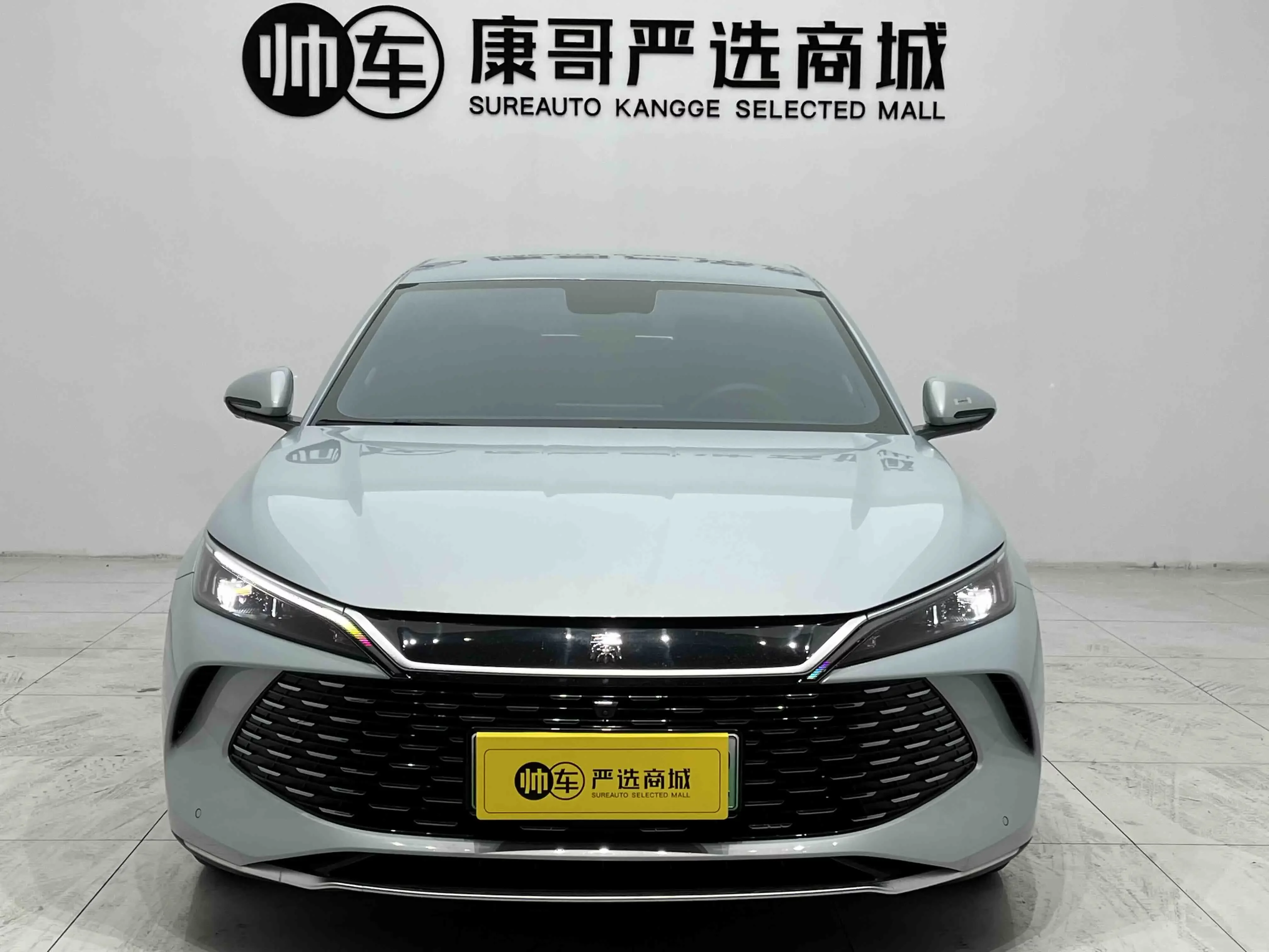 BYD Qin L DM