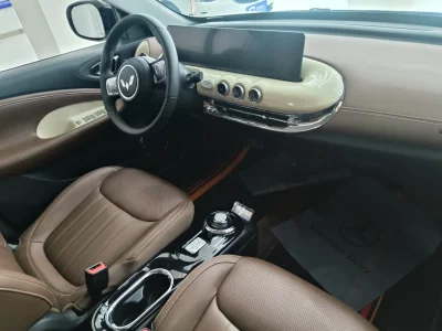 Wuling Bingo