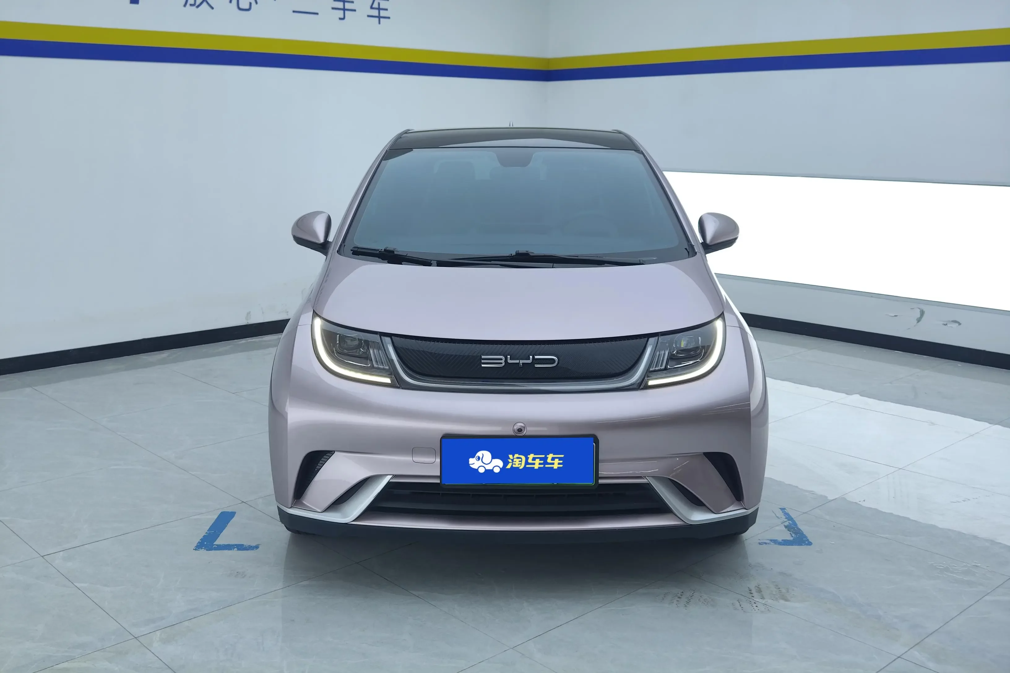 BYD dolphin