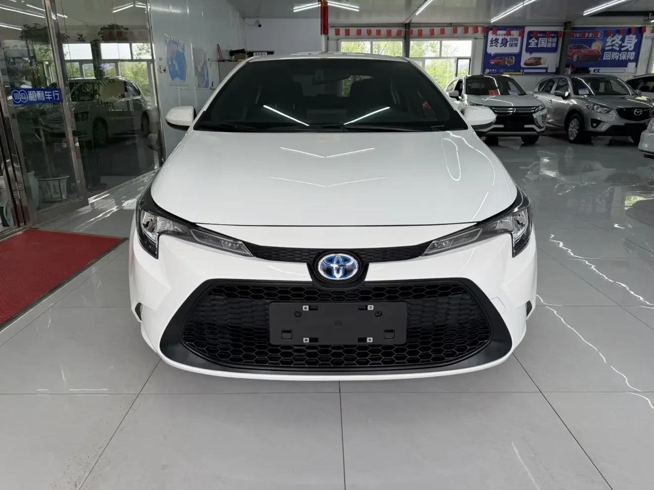 Toyota Levin