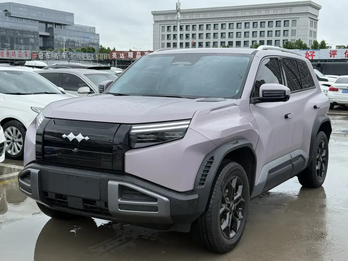 BYD Leopard Titanium 3