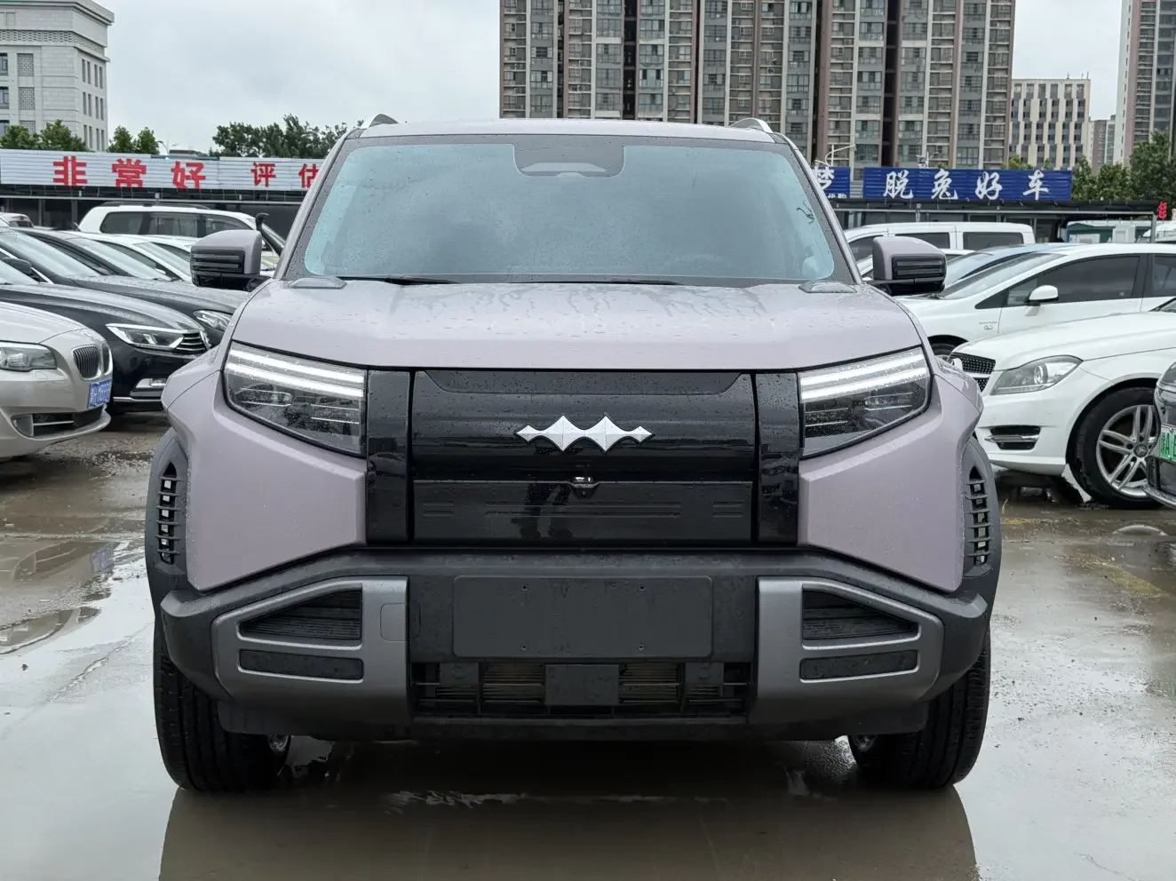 BYD Leopard Titanium 3