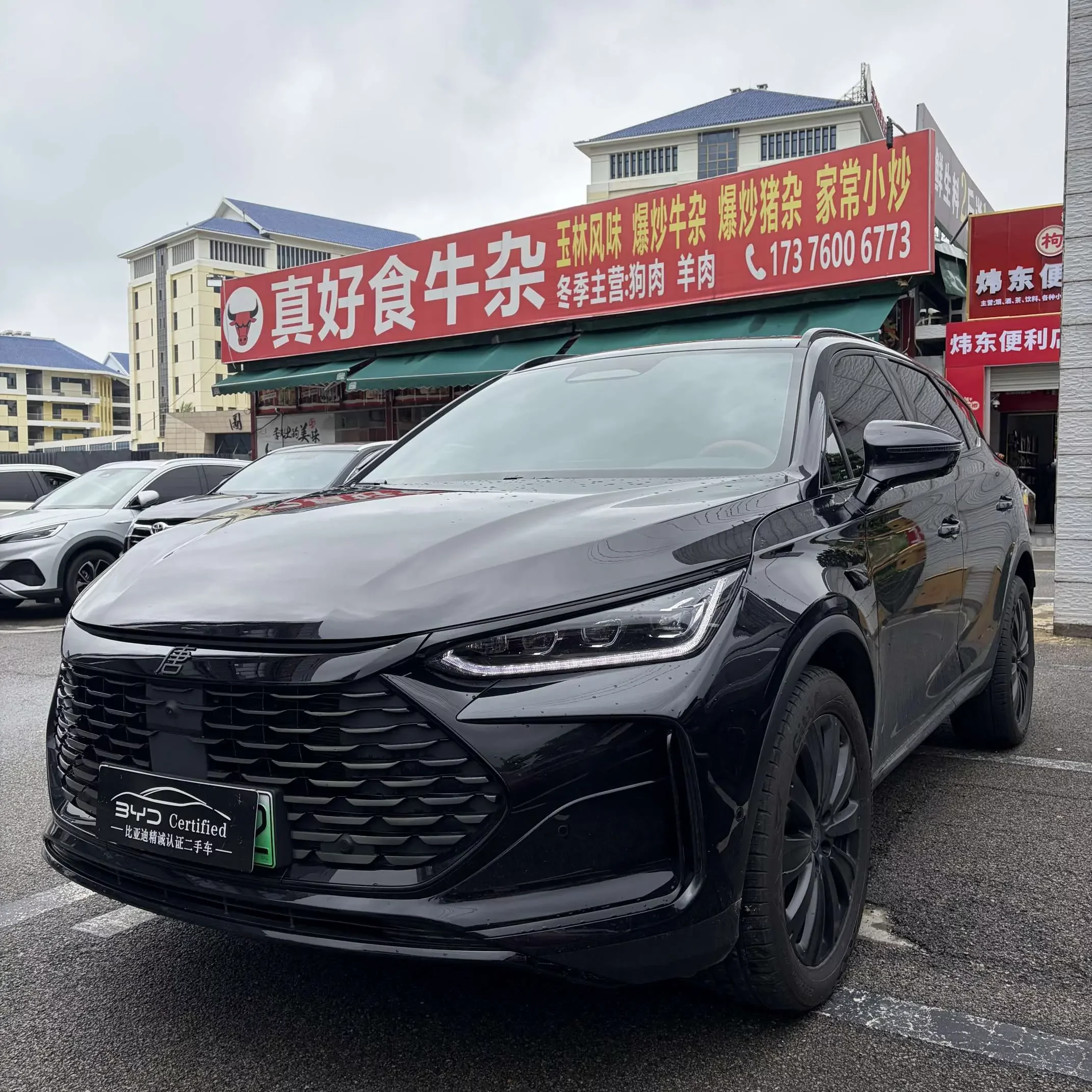 BYD Tang DM