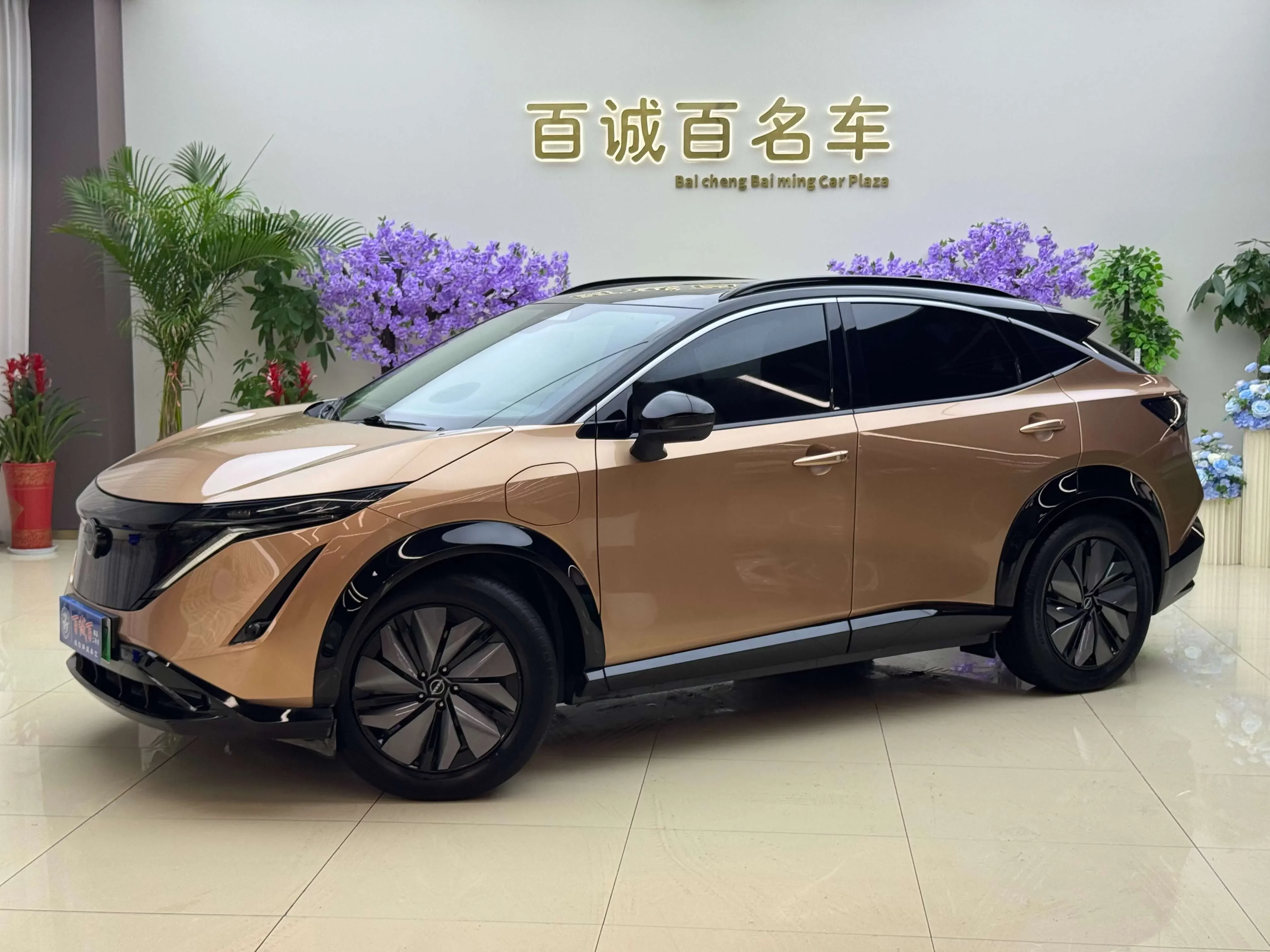 Nissan ARIYA