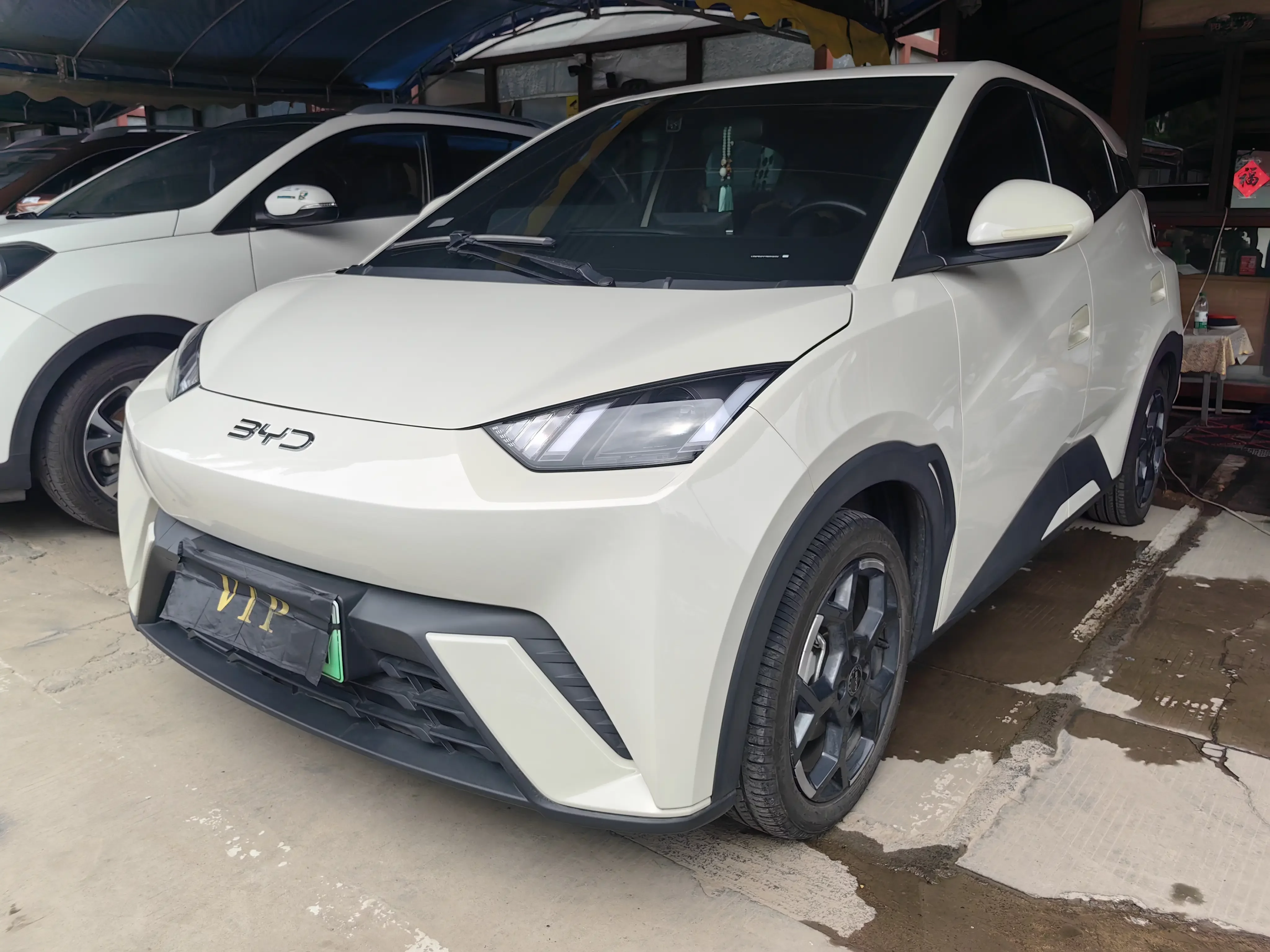 BYD seagull