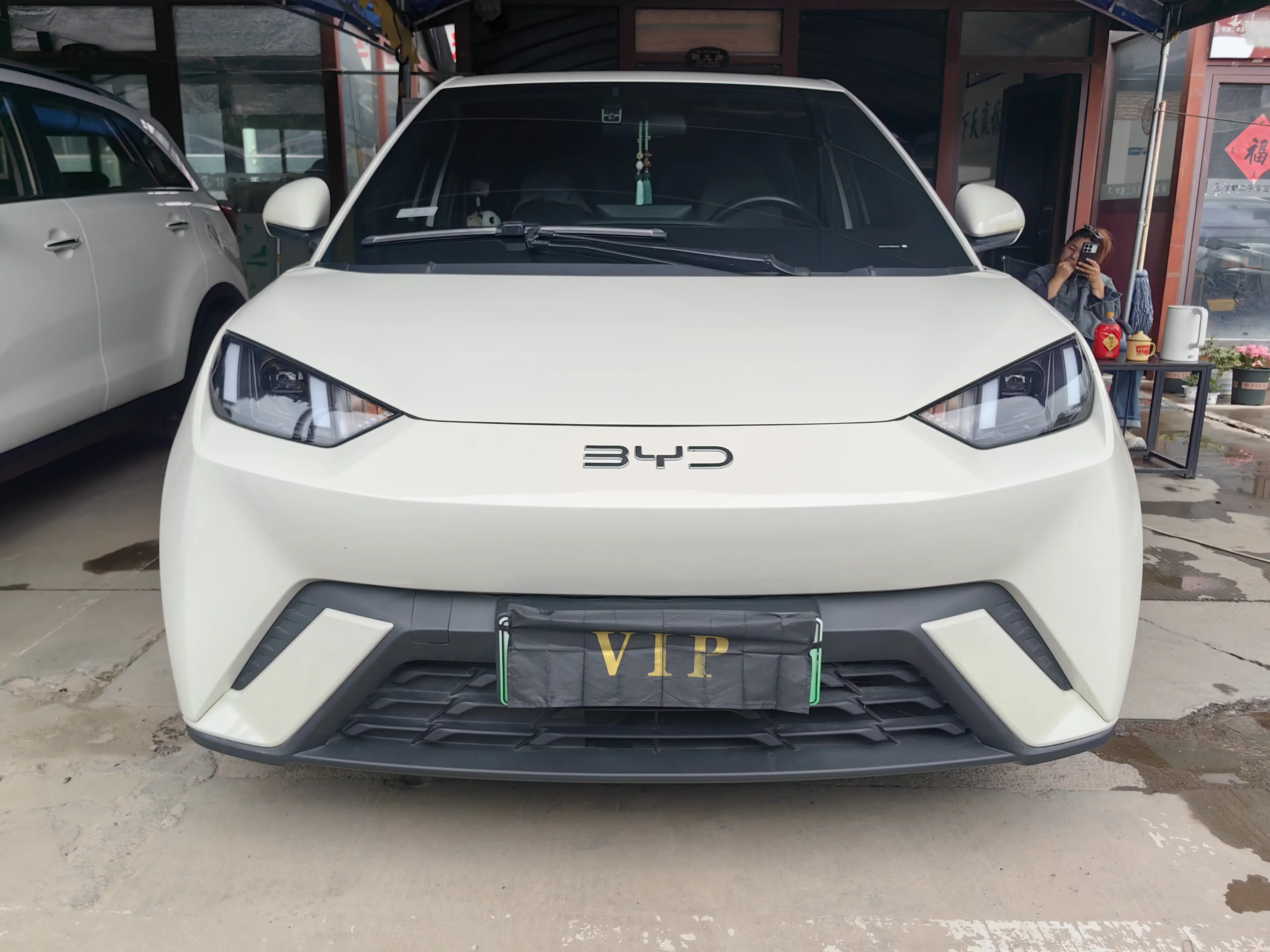 BYD seagull