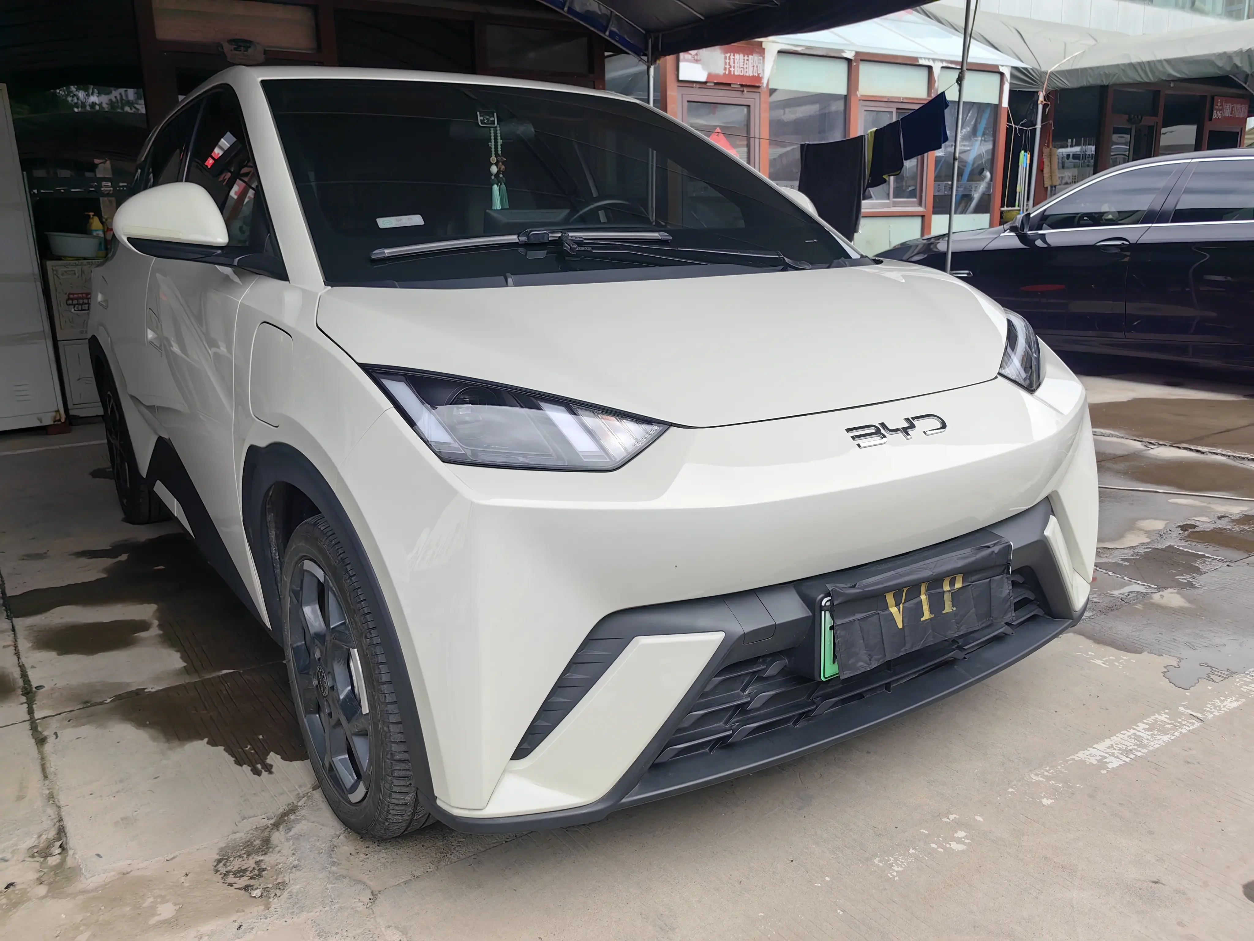 BYD seagull