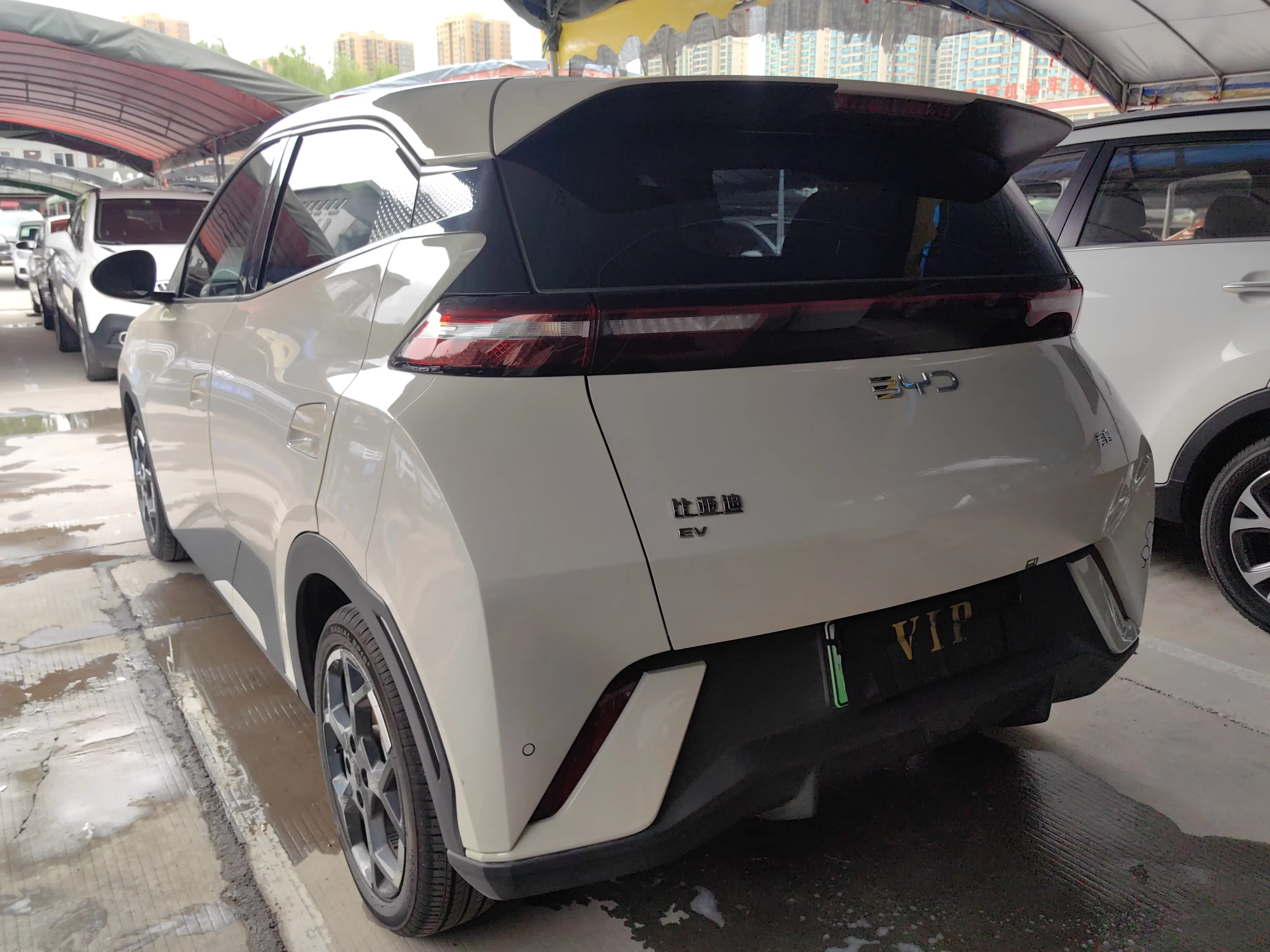 BYD seagull