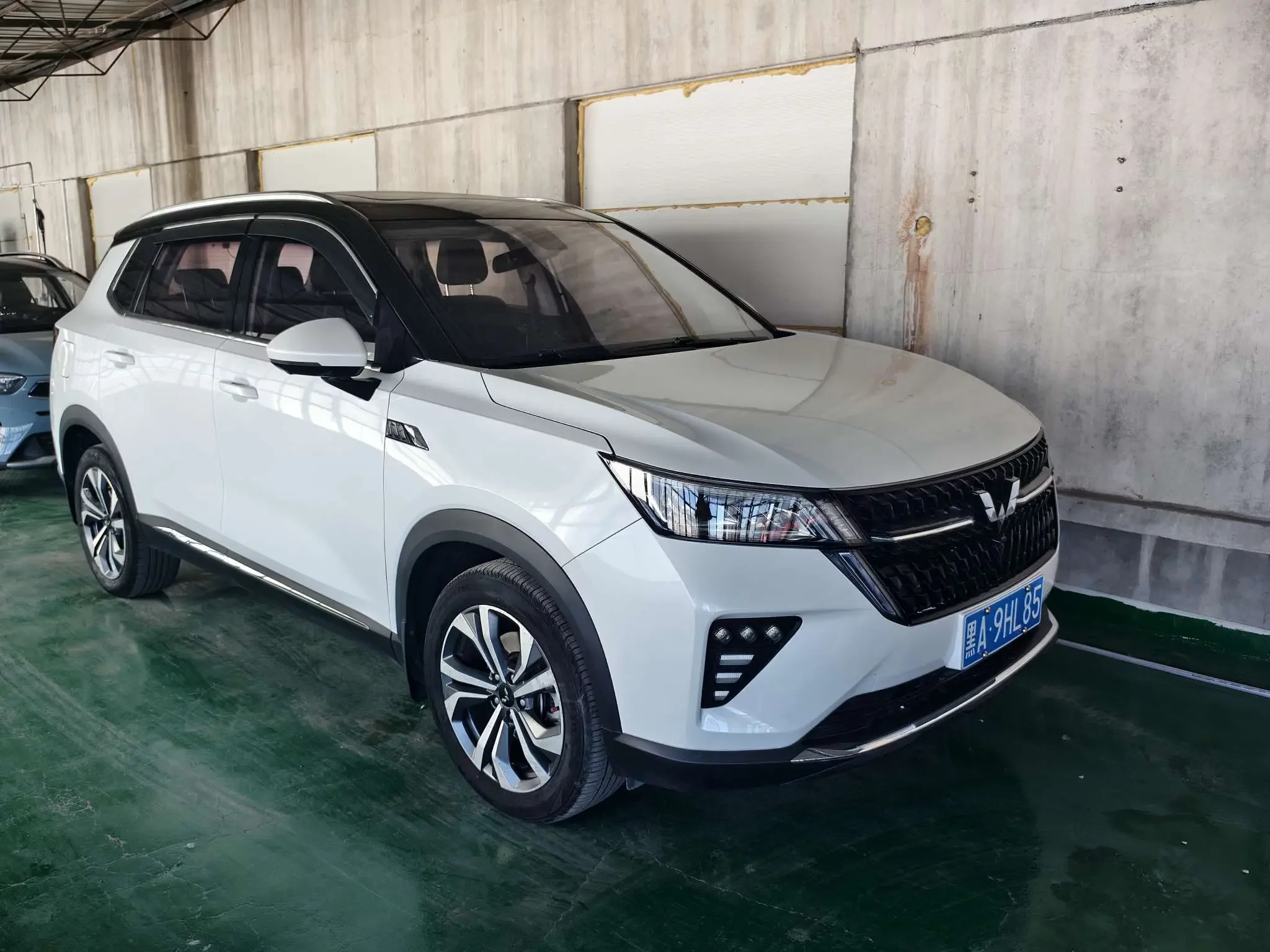 Wuling Star