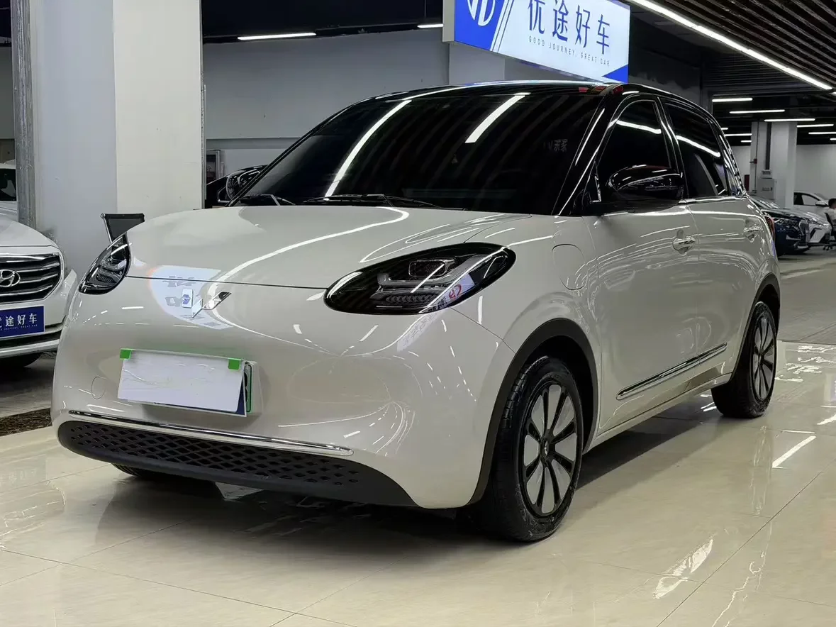 Wuling Bingo