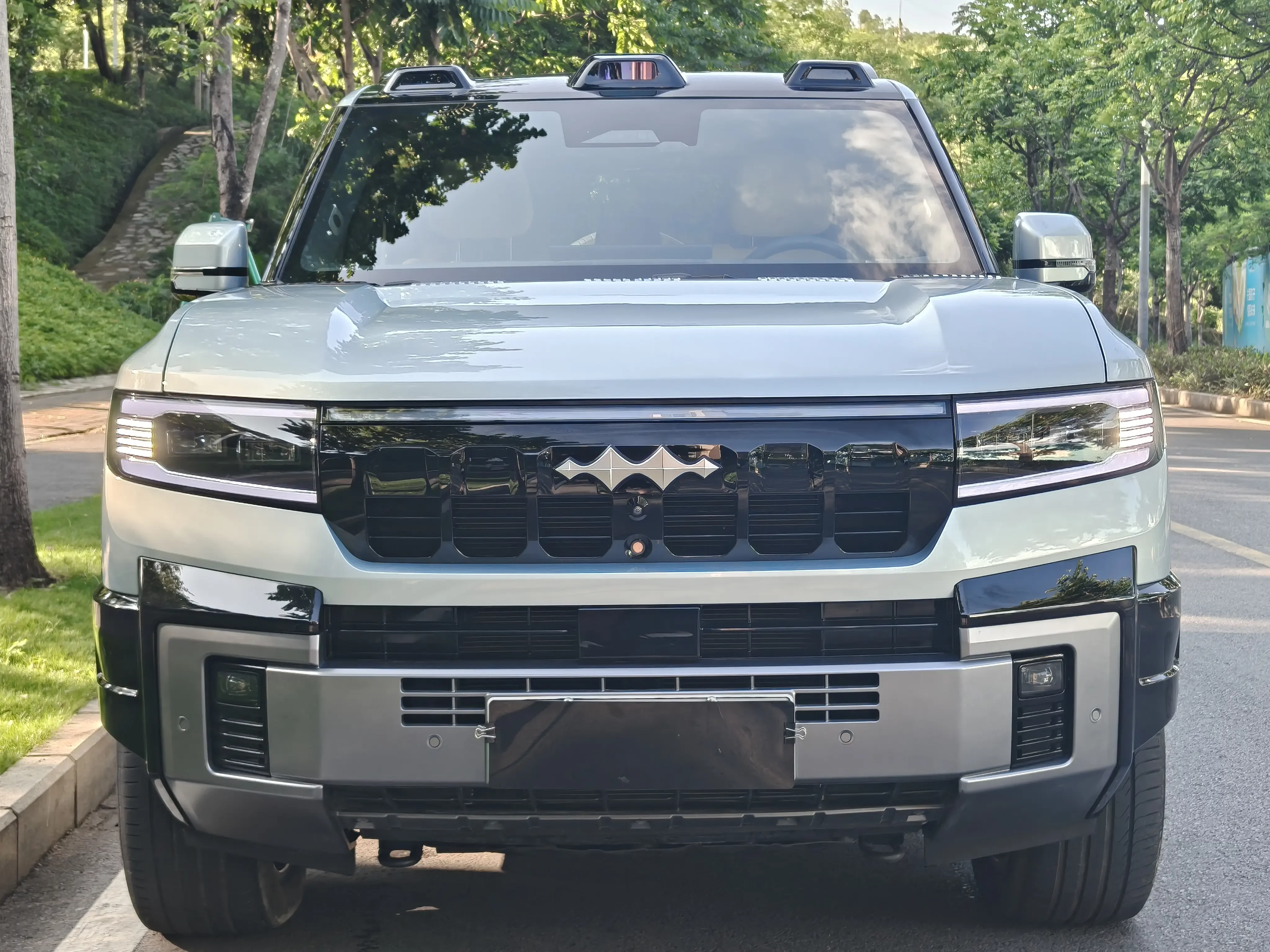 BYD Leopard Leopard 8