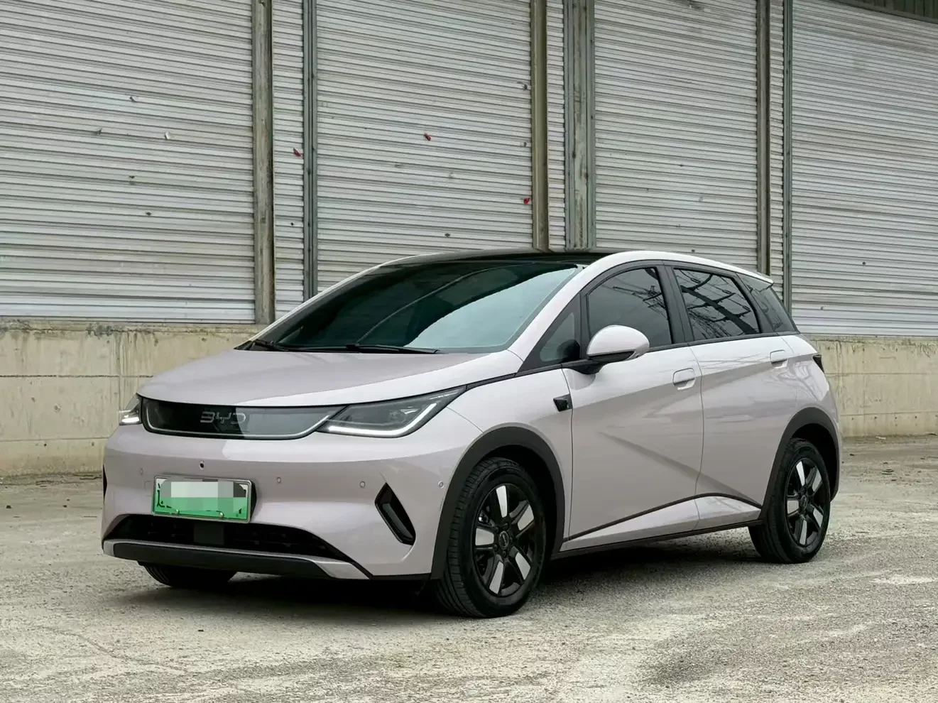 BYD dolphin