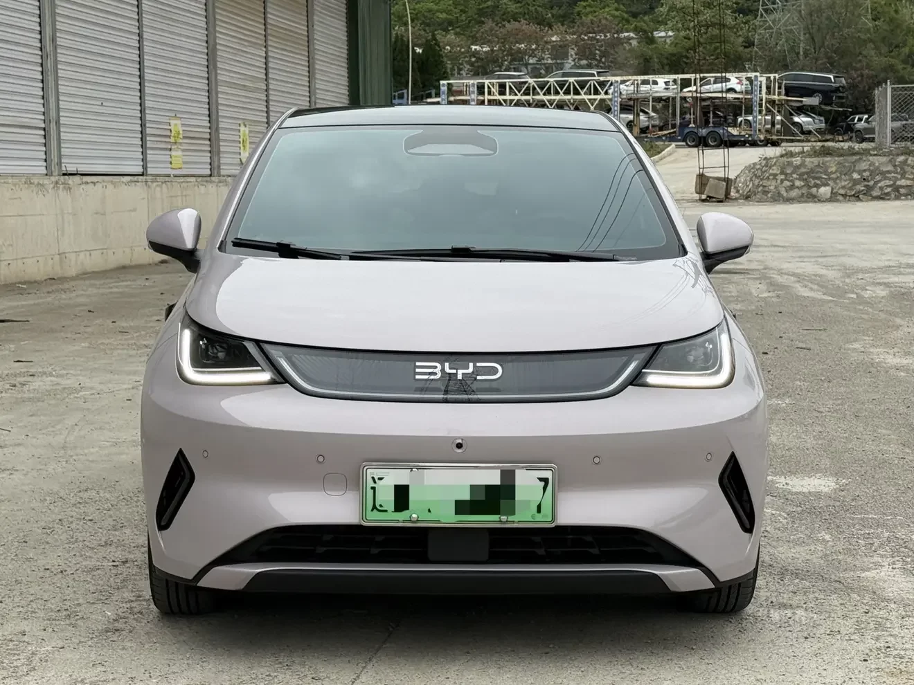 BYD dolphin
