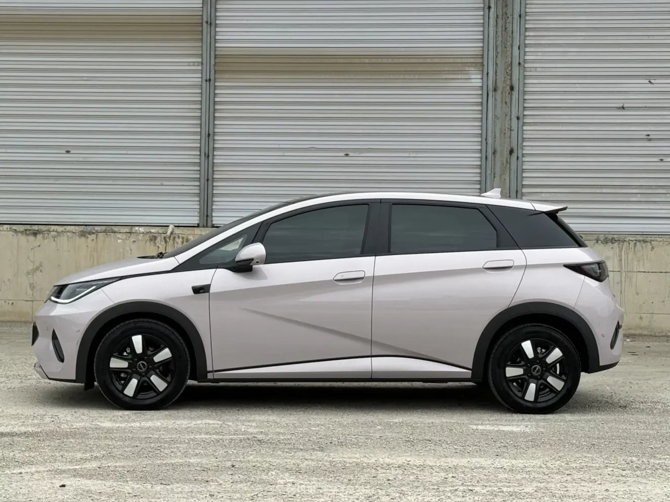 BYD dolphin