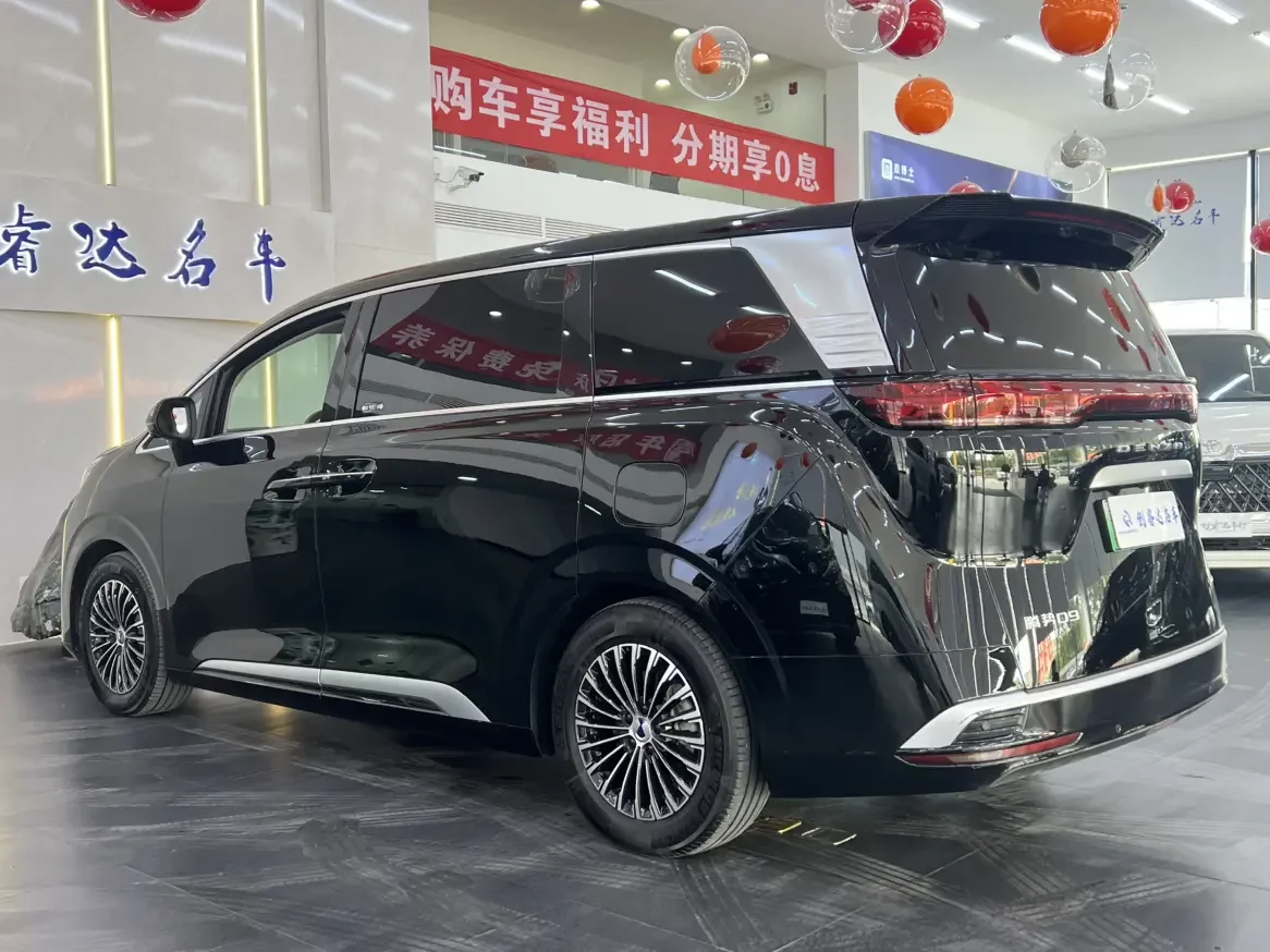 Denza D9 DM