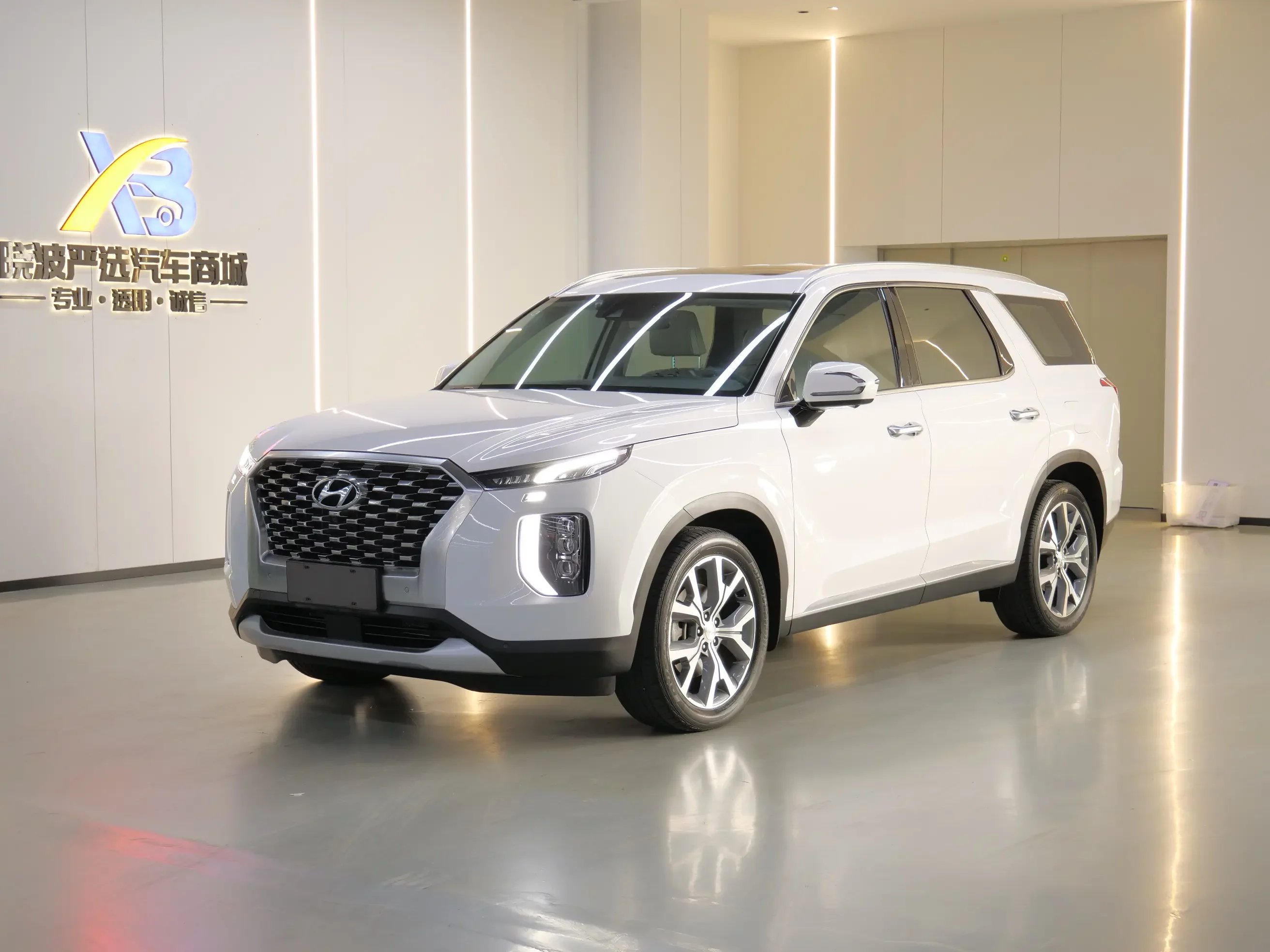 Hyundai Paristi
