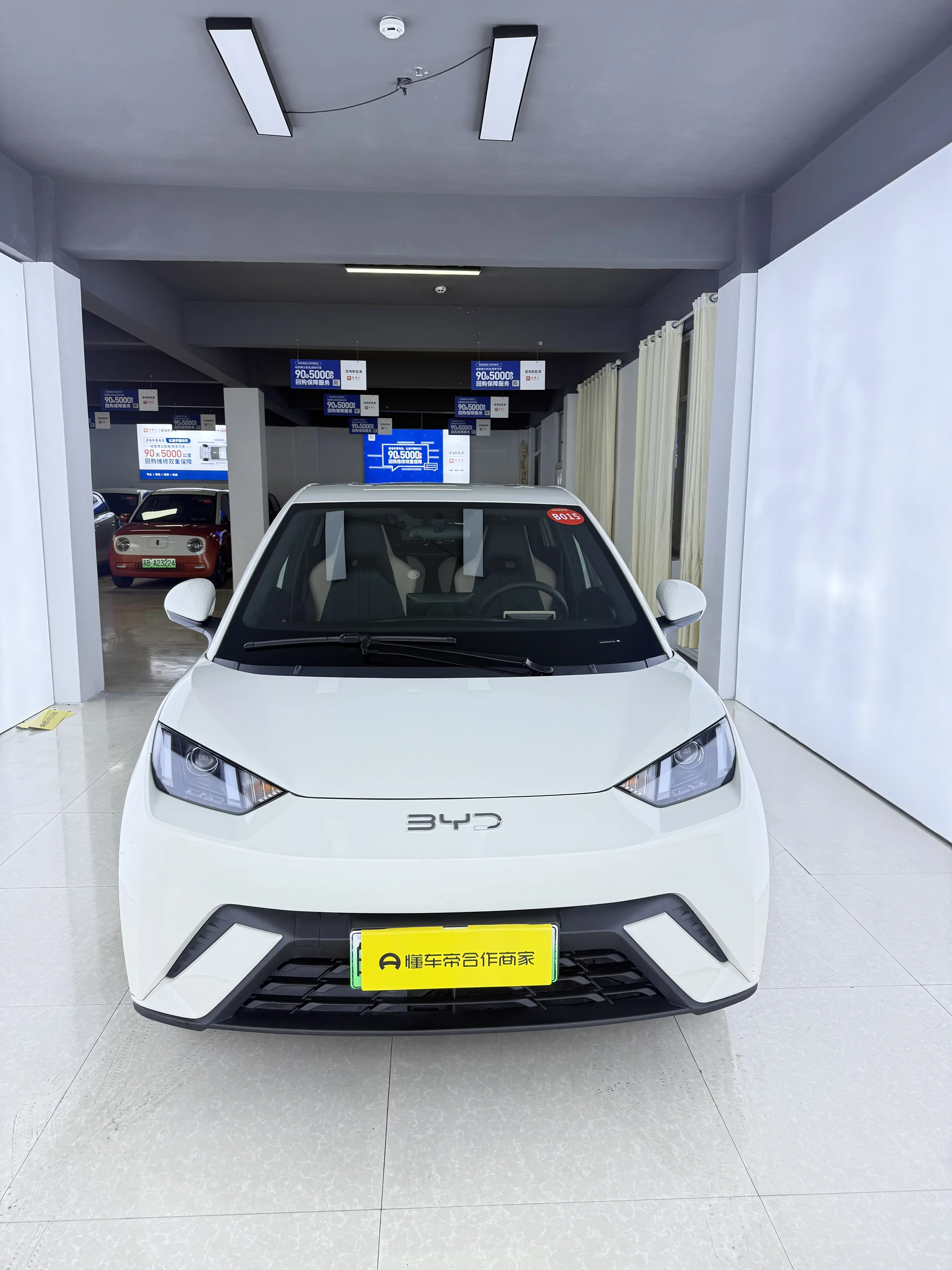 BYD seagull