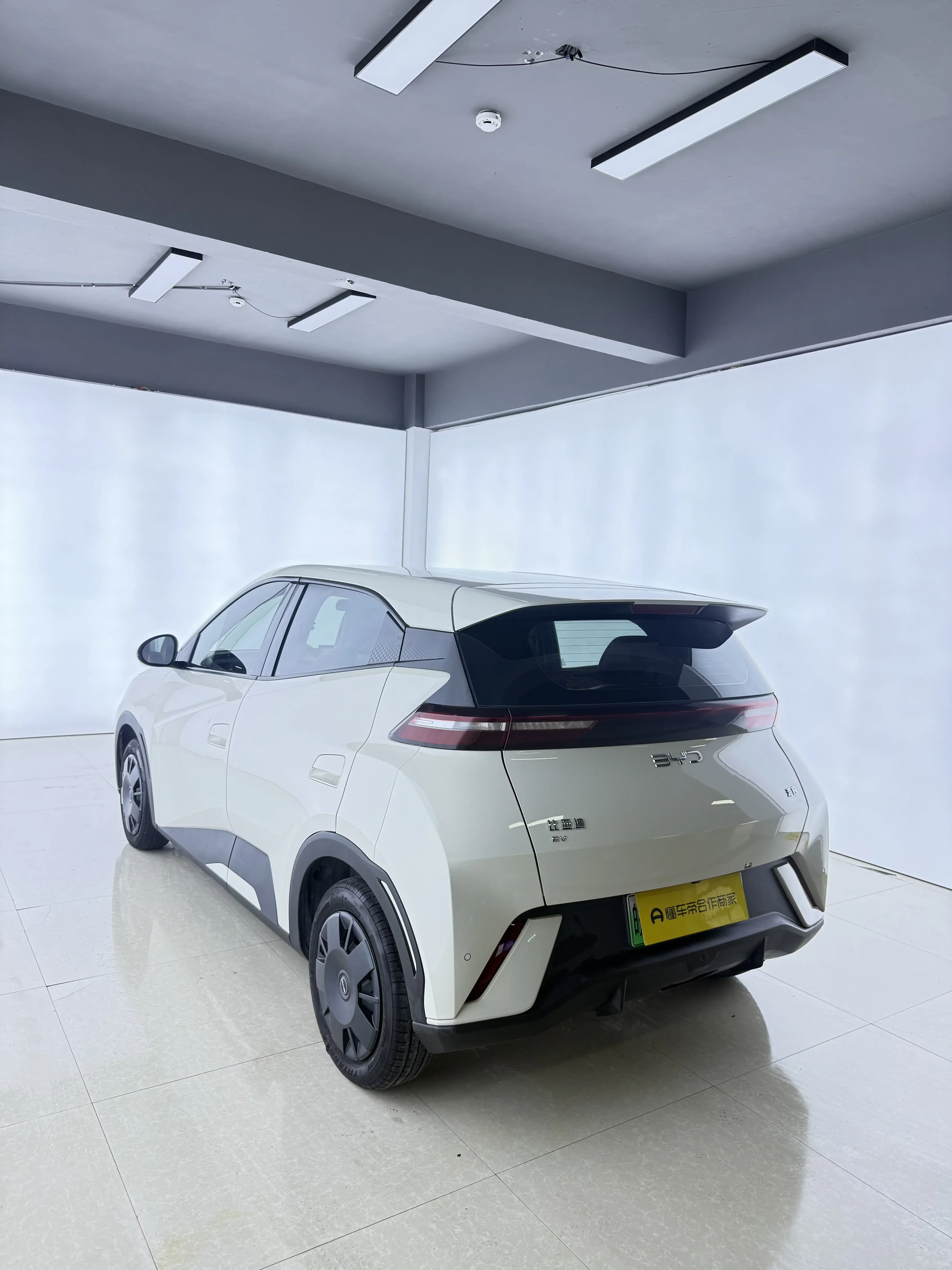 BYD seagull
