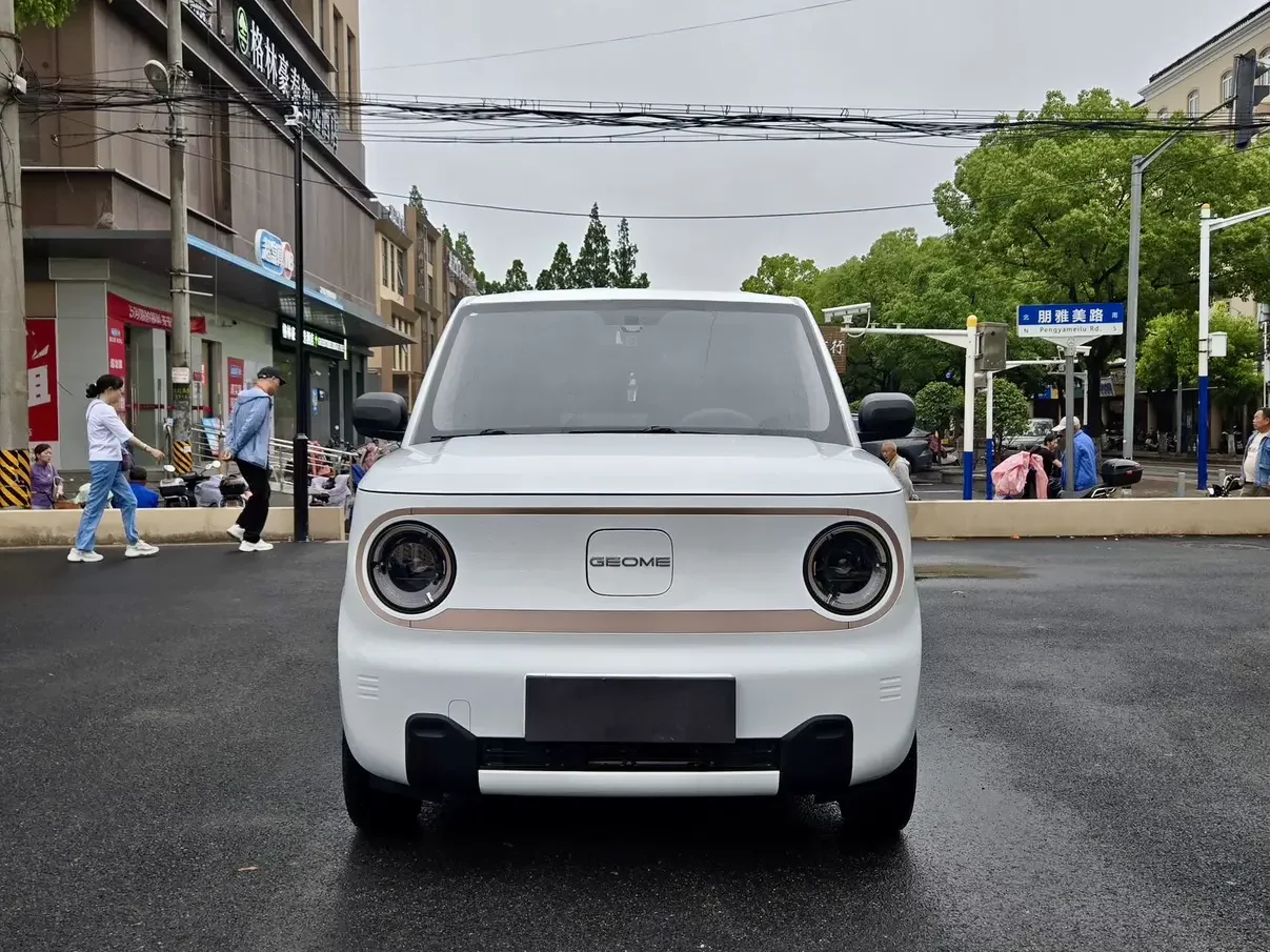 Geely panda