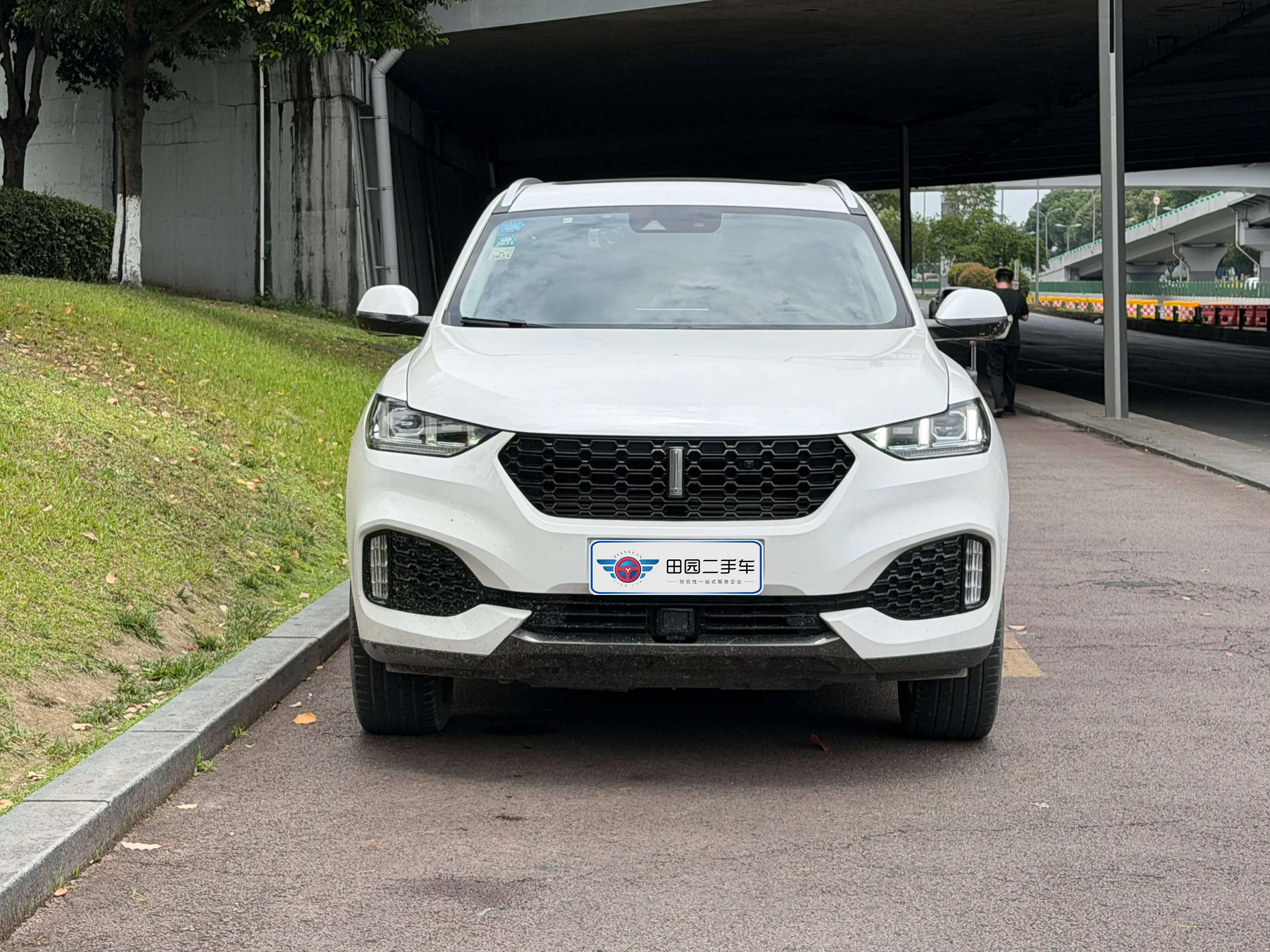 Wey Wei brand VV6
