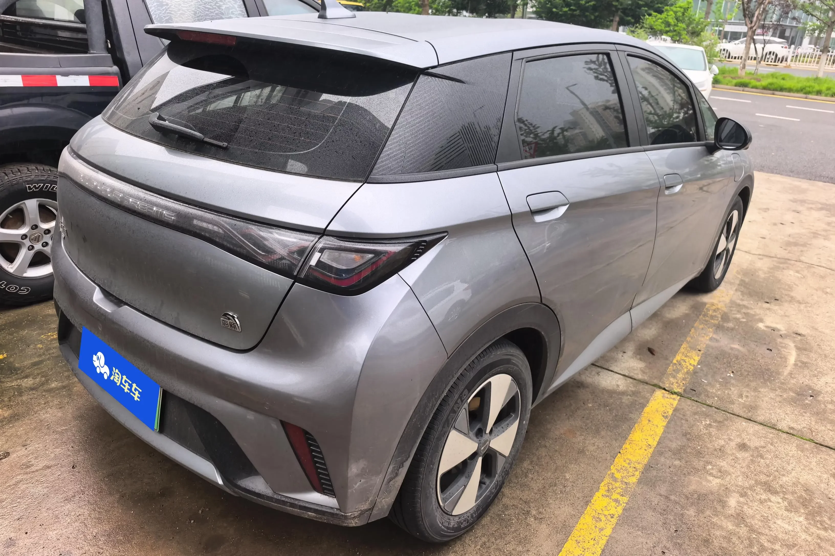 BYD dolphin