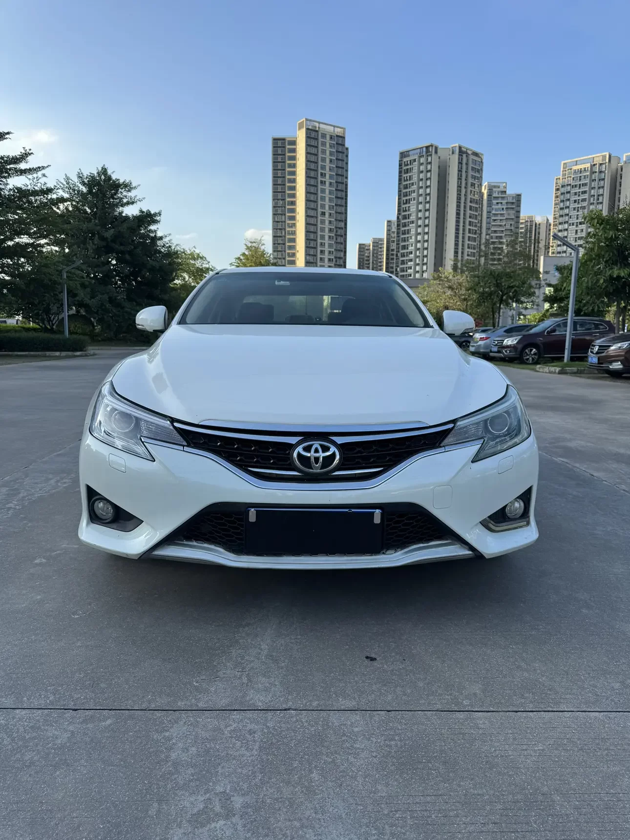 Toyota Ruizhi