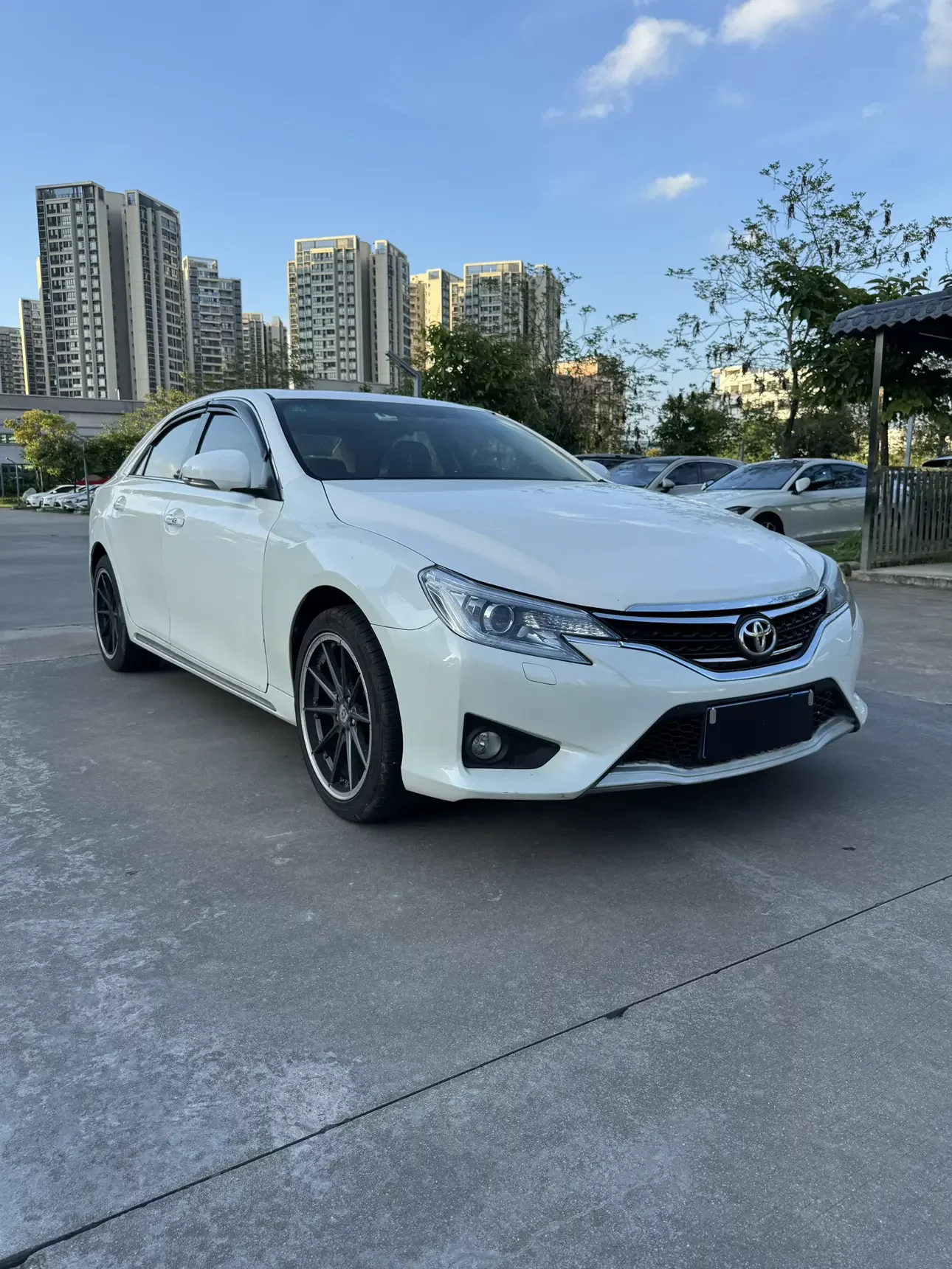 Toyota Ruizhi