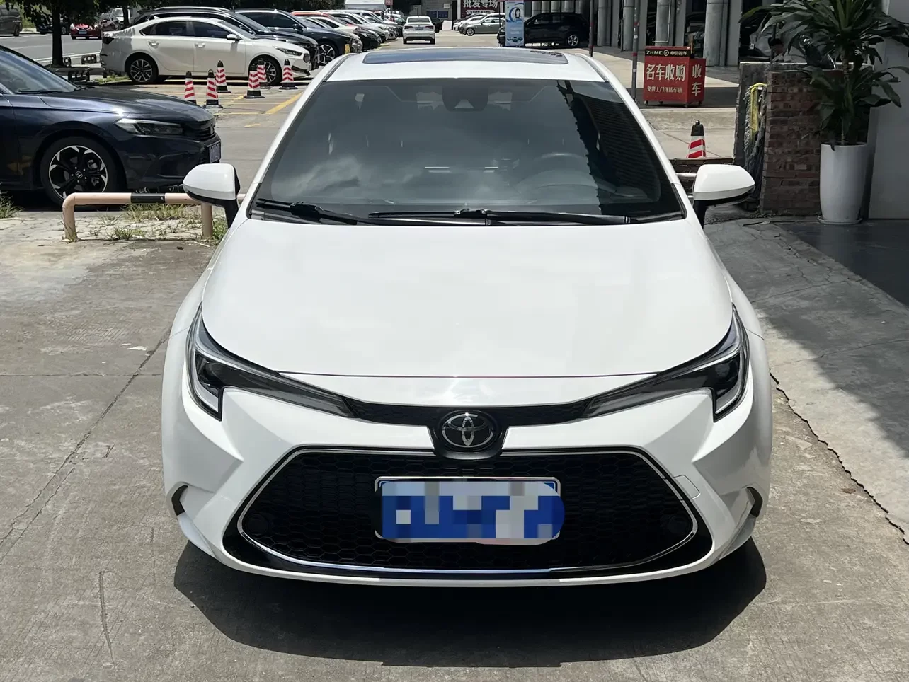 Toyota Levin