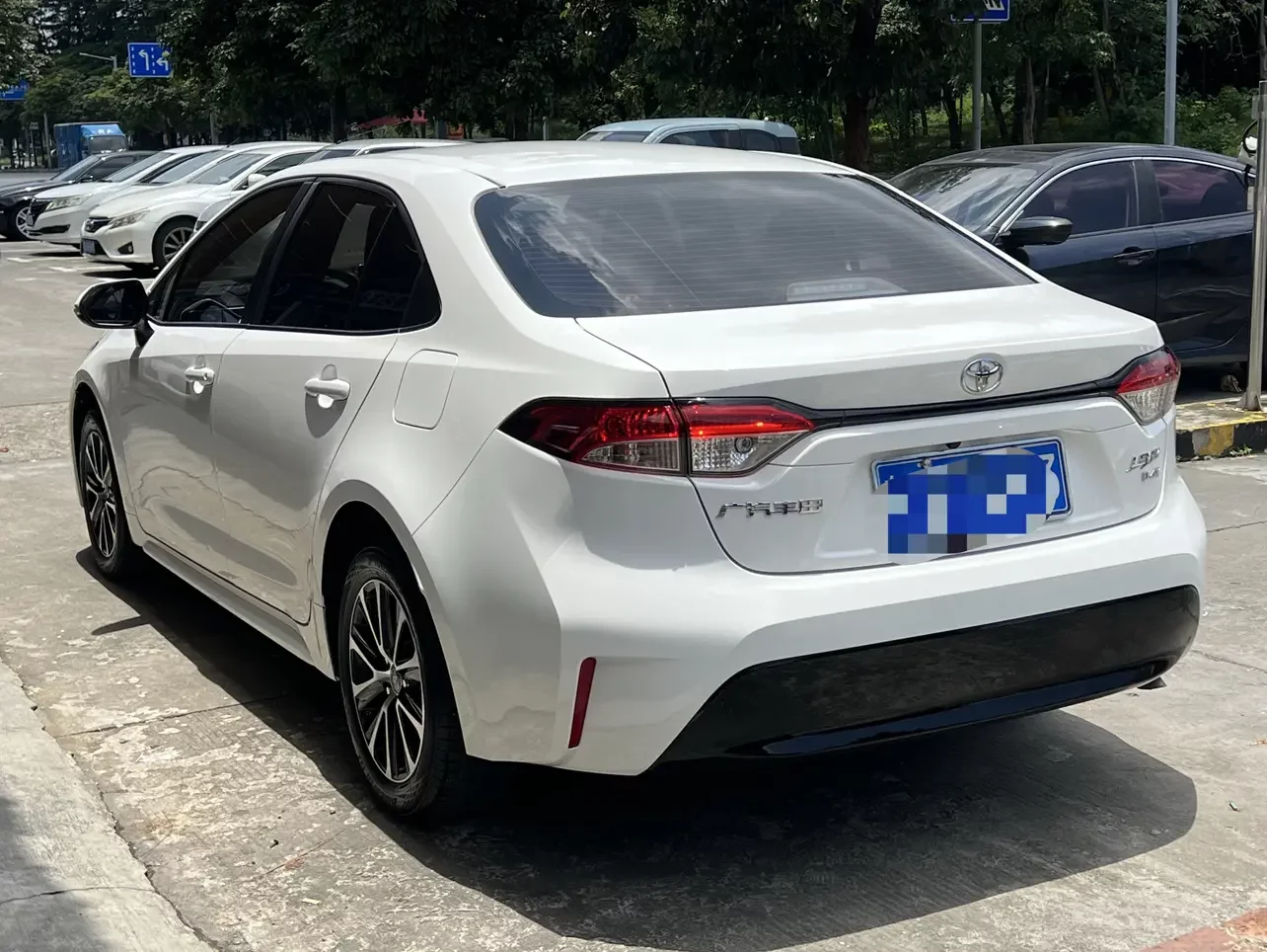 Toyota Levin