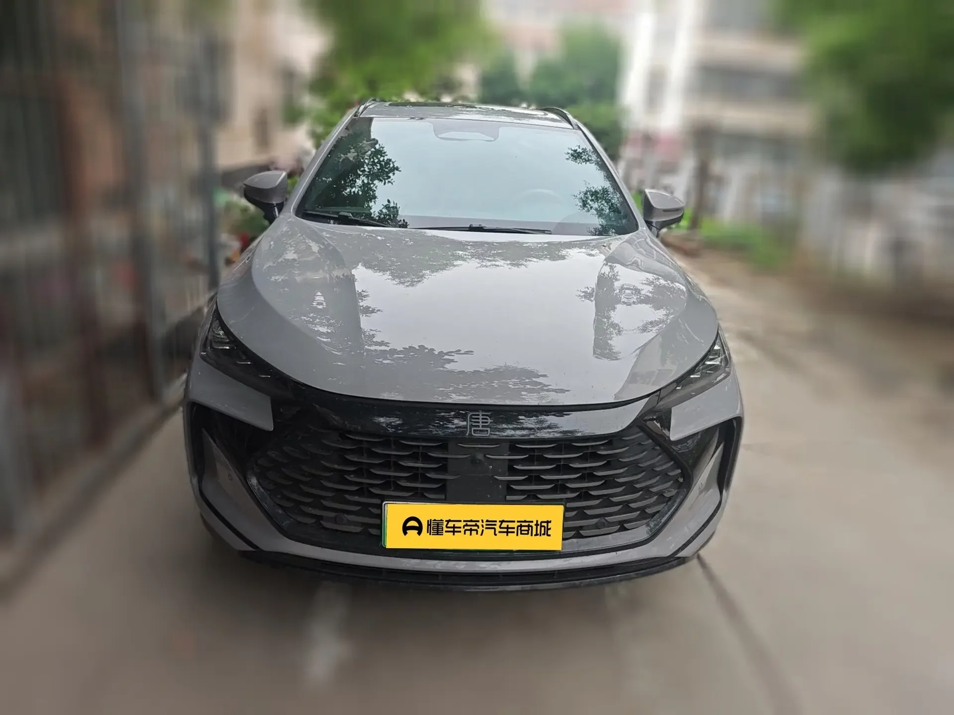 BYD Tang DM