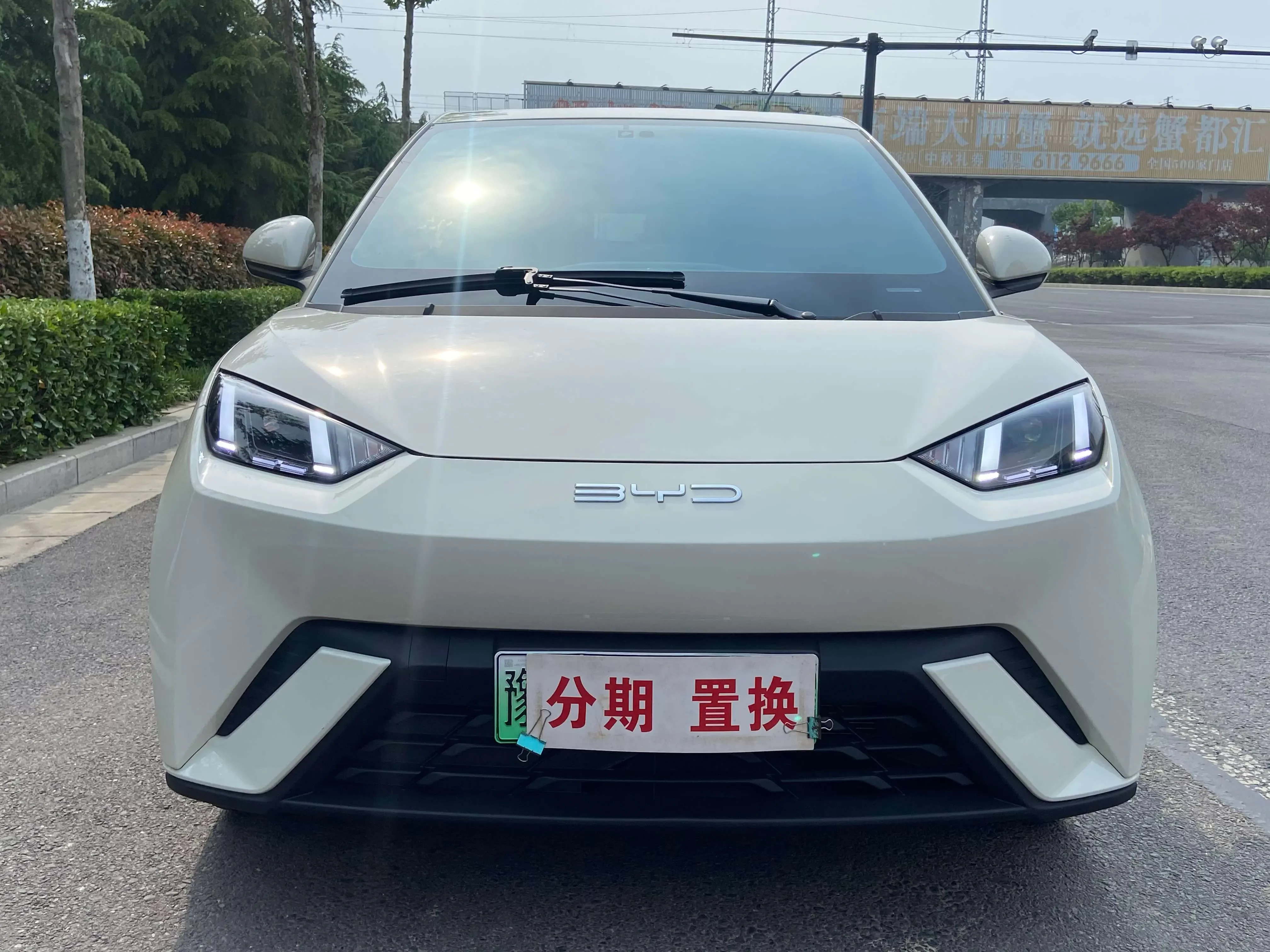 BYD seagull