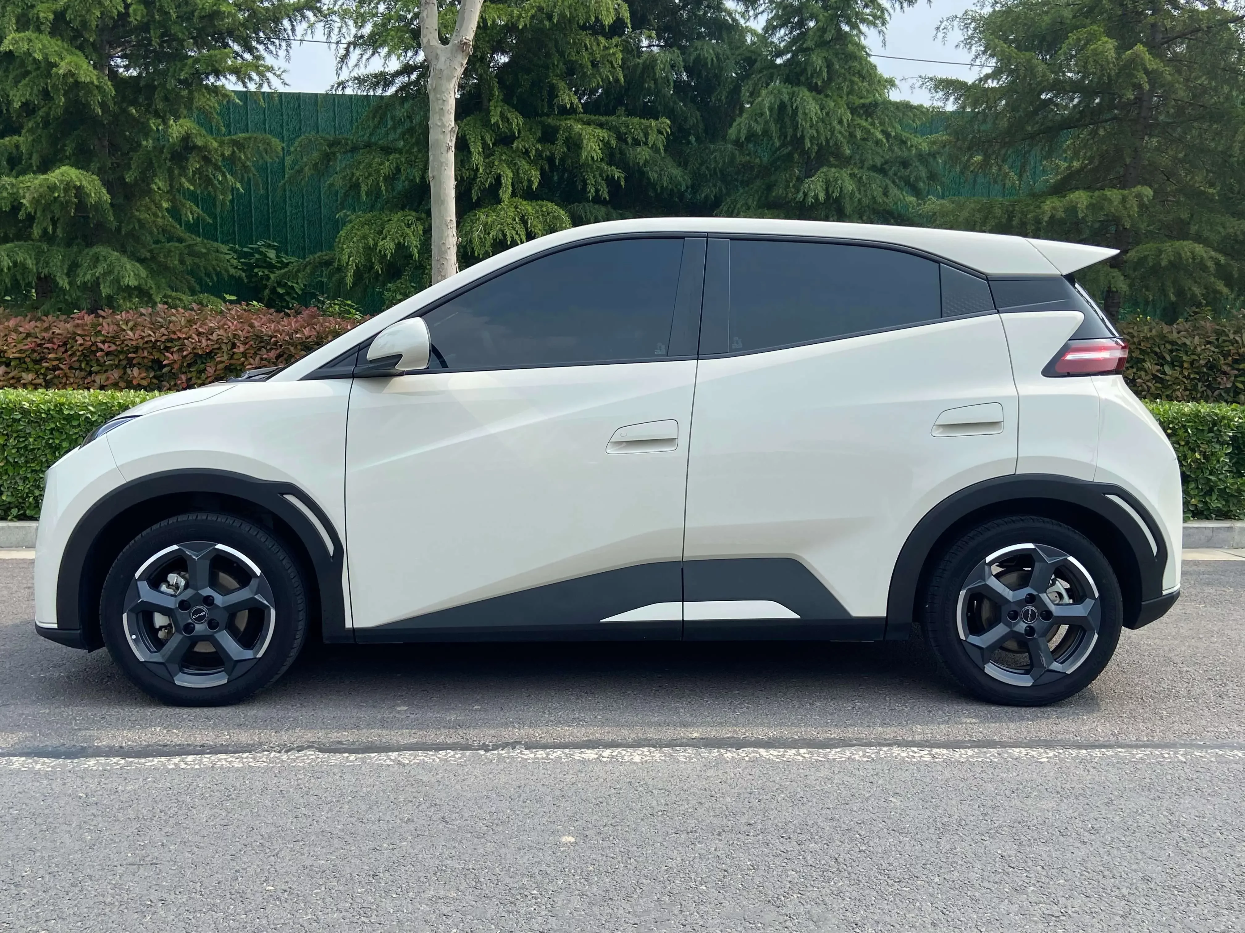 BYD seagull