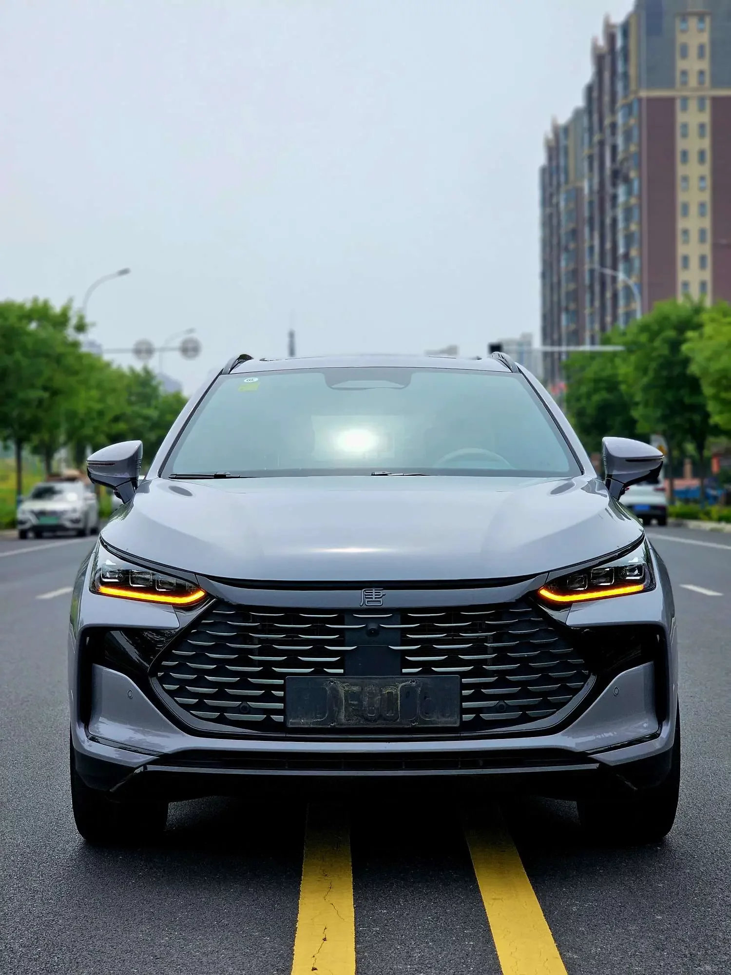 BYD Tang DM