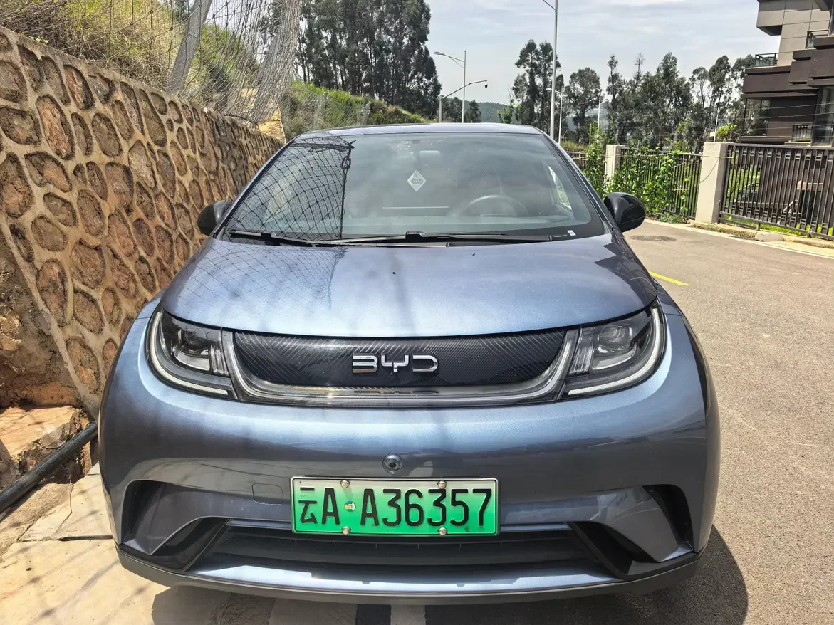 BYD dolphin