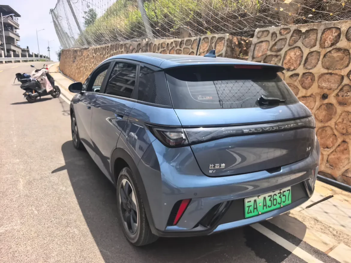 BYD dolphin