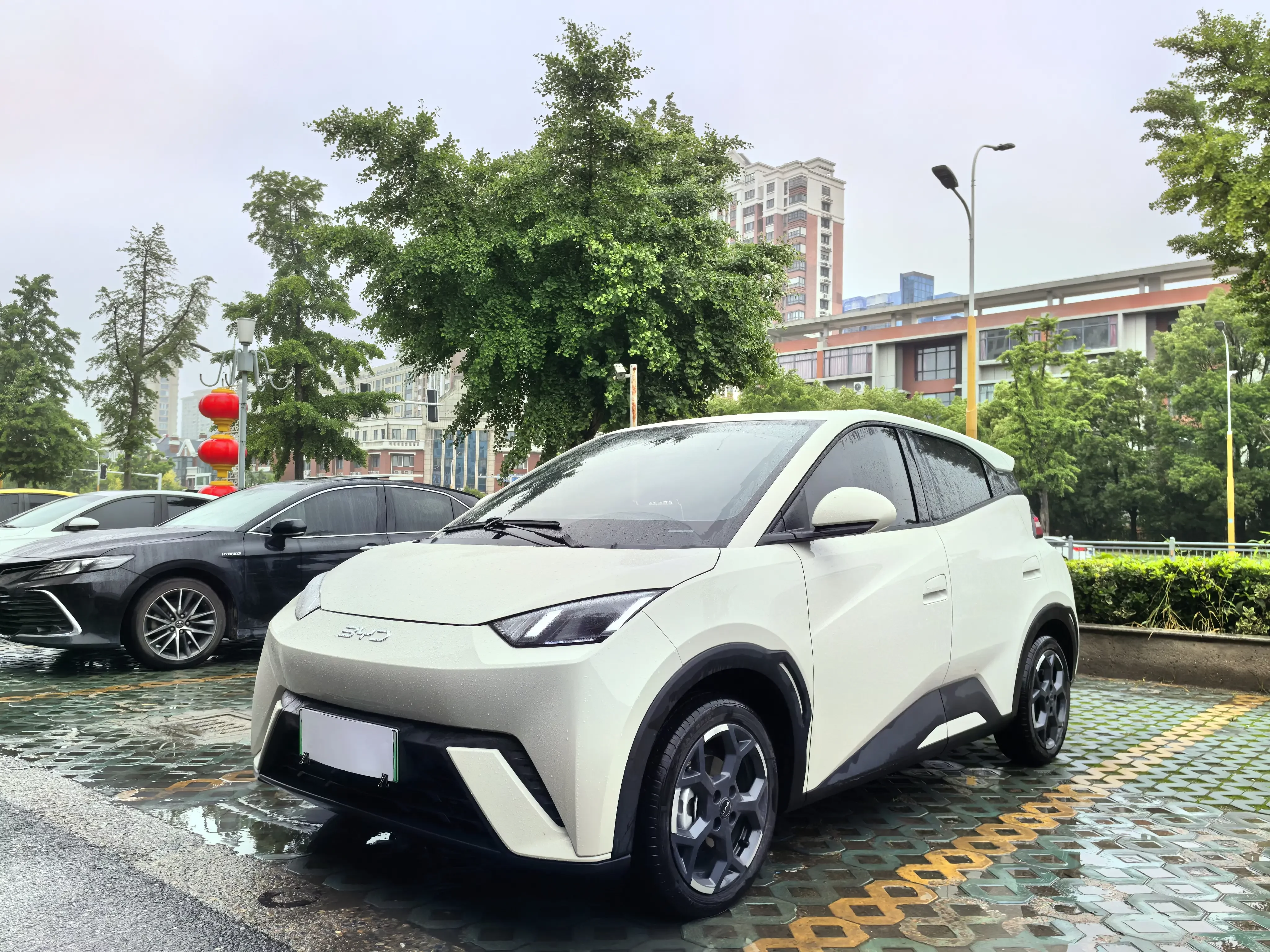 BYD seagull
