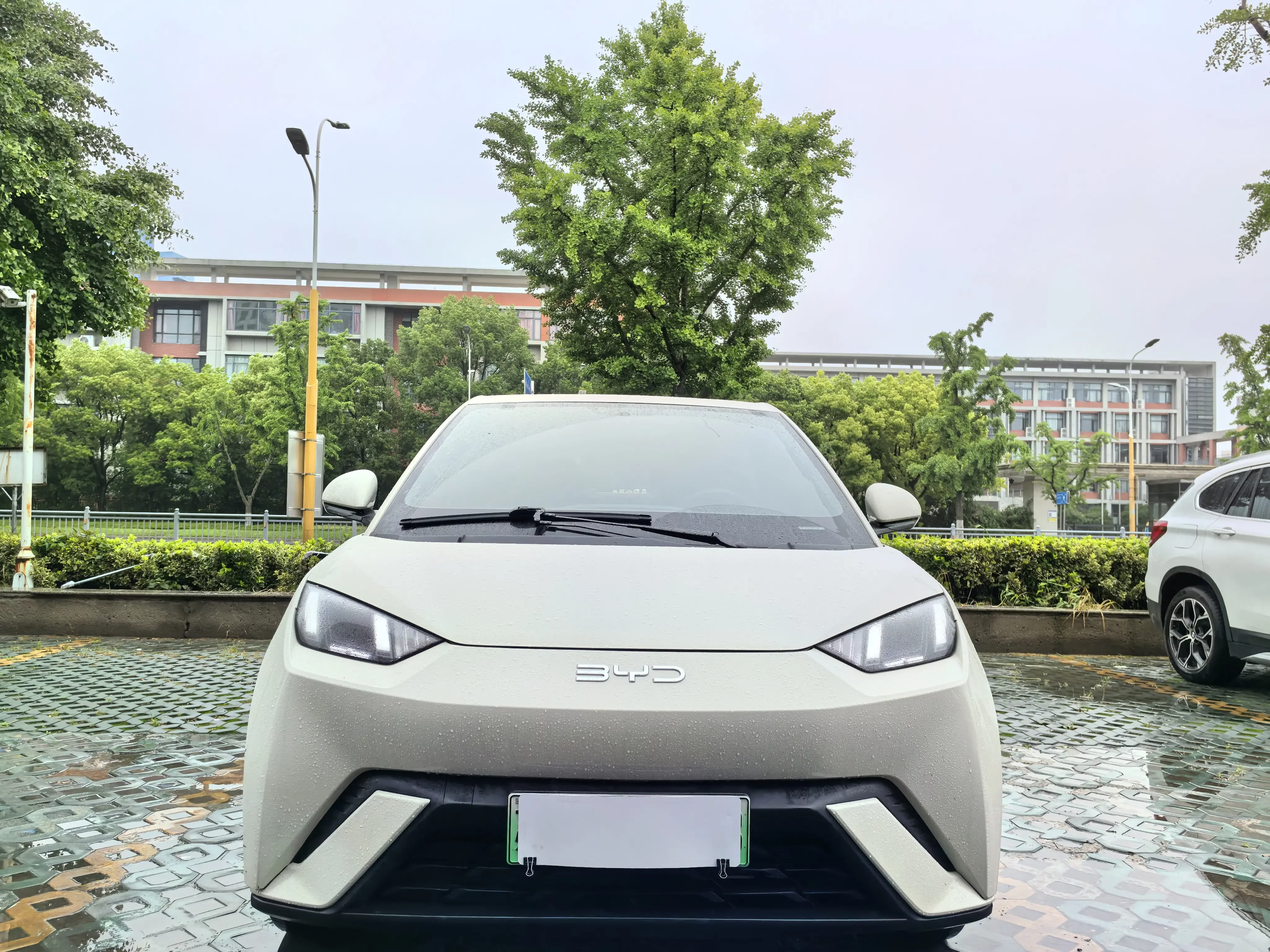 BYD seagull