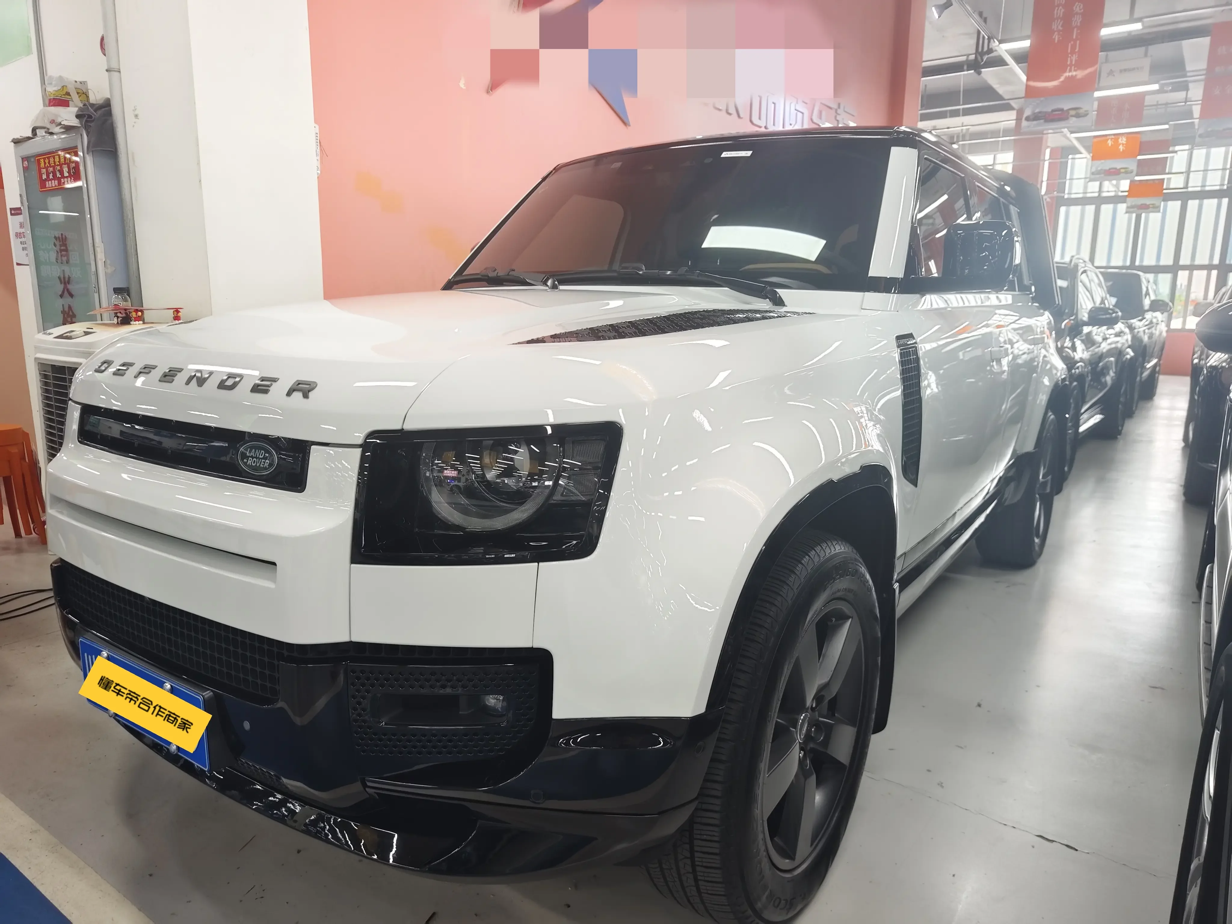 Land Rover guard