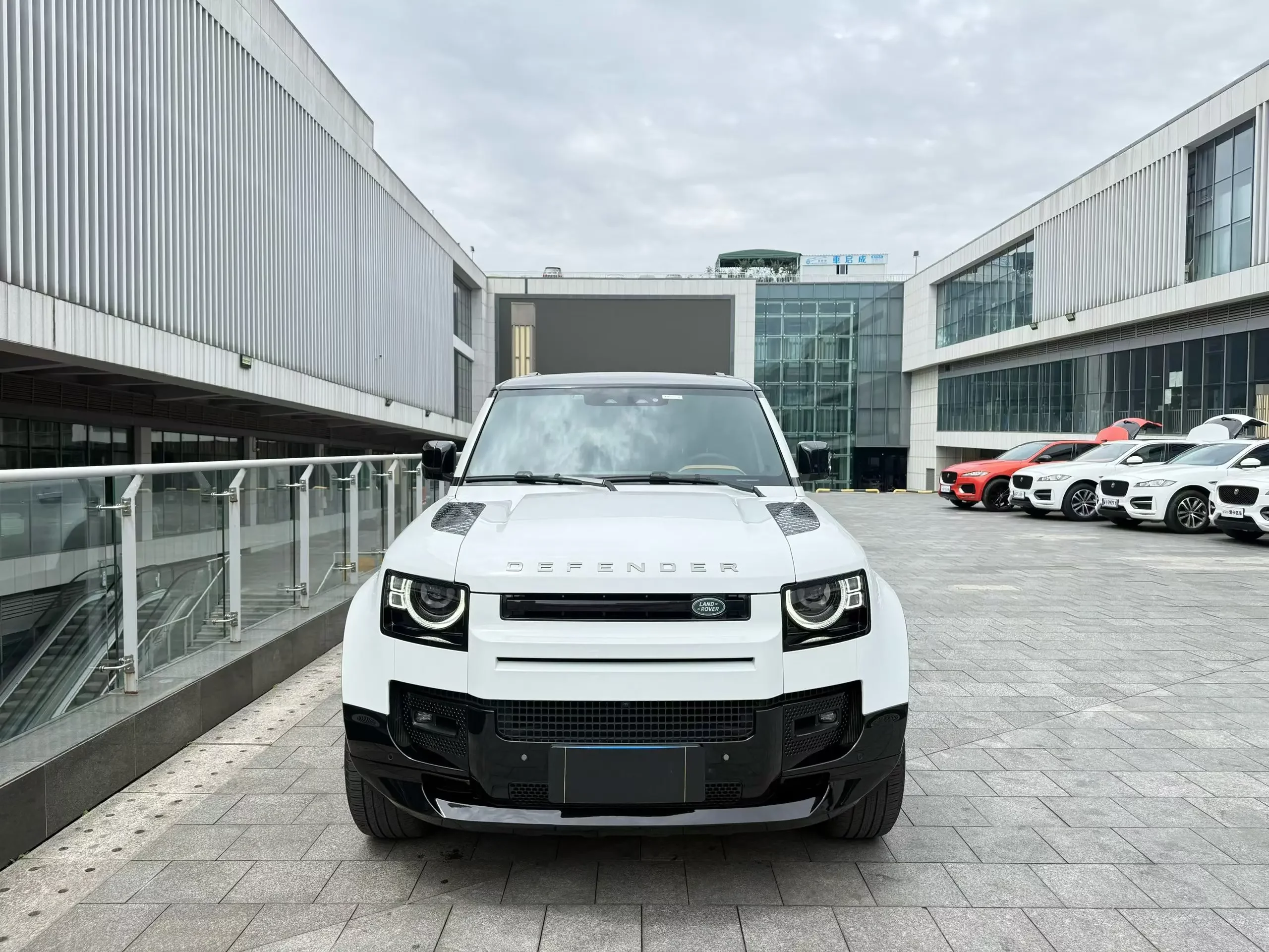 Land Rover guard